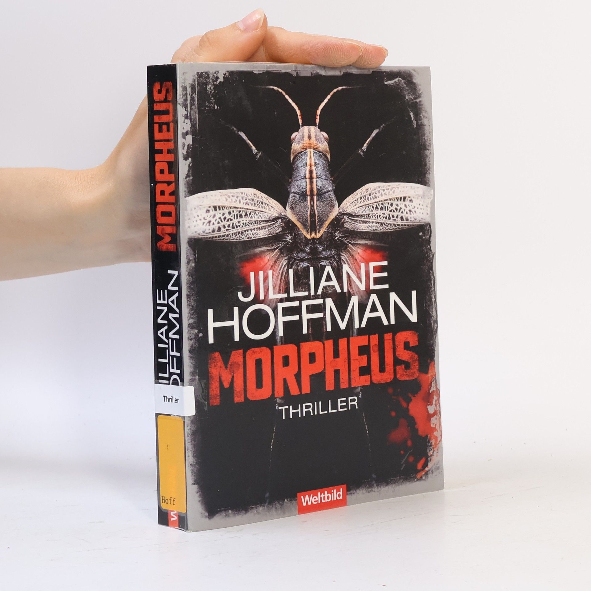 Jilliane Hoffman Morpheus