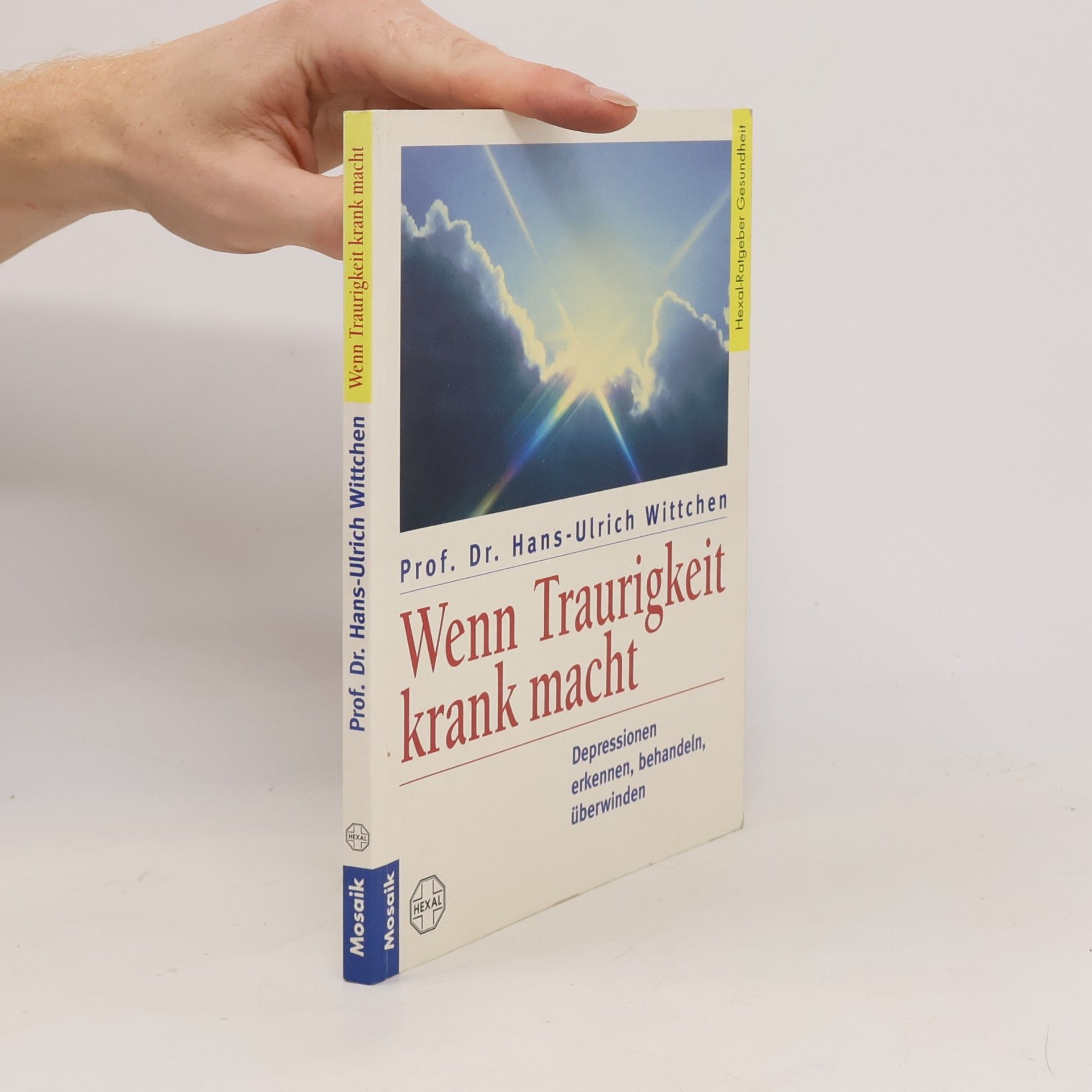 Hans-Ulrich Wittchen Wenn Traurigkeit krank macht