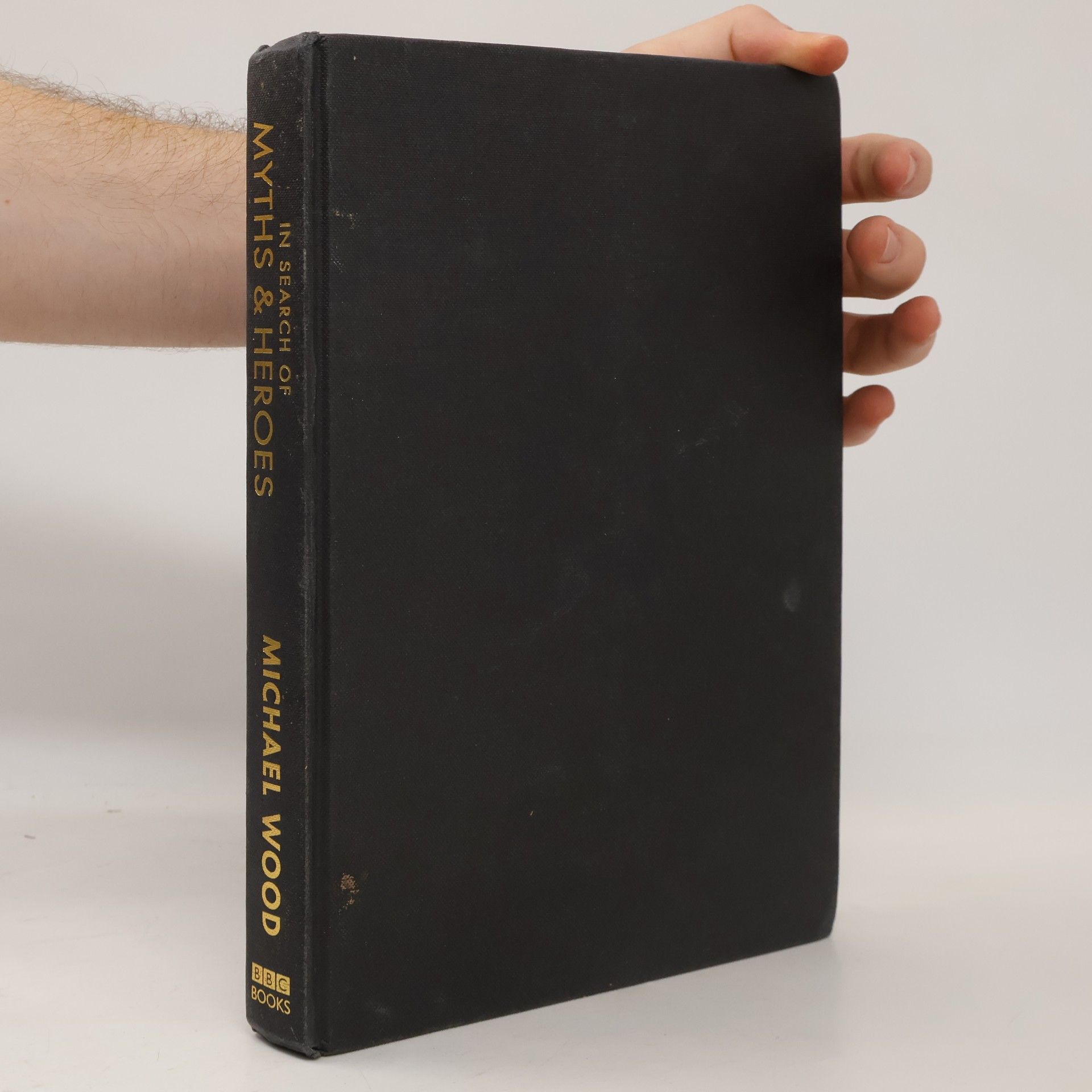 Michael Wood In Search of Myths and Heroes