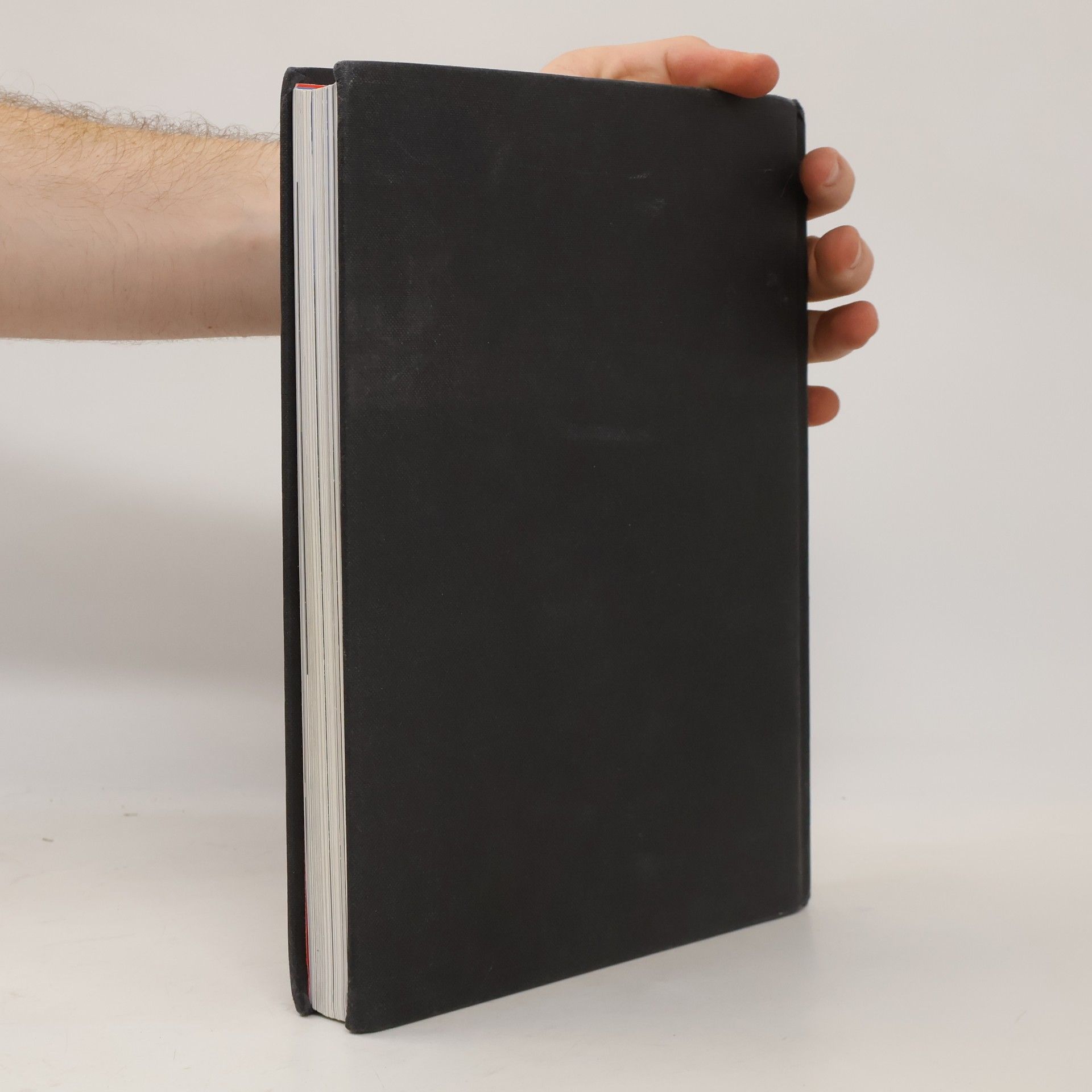 Michael Wood In Search of Myths and Heroes