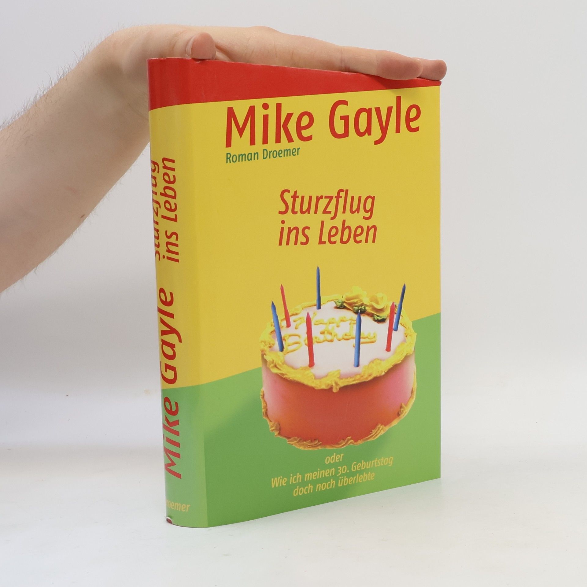 Mike Gayle Sturzflug ins Leben oder wie ich meinen 30. Geburtstag doch noch überlebte