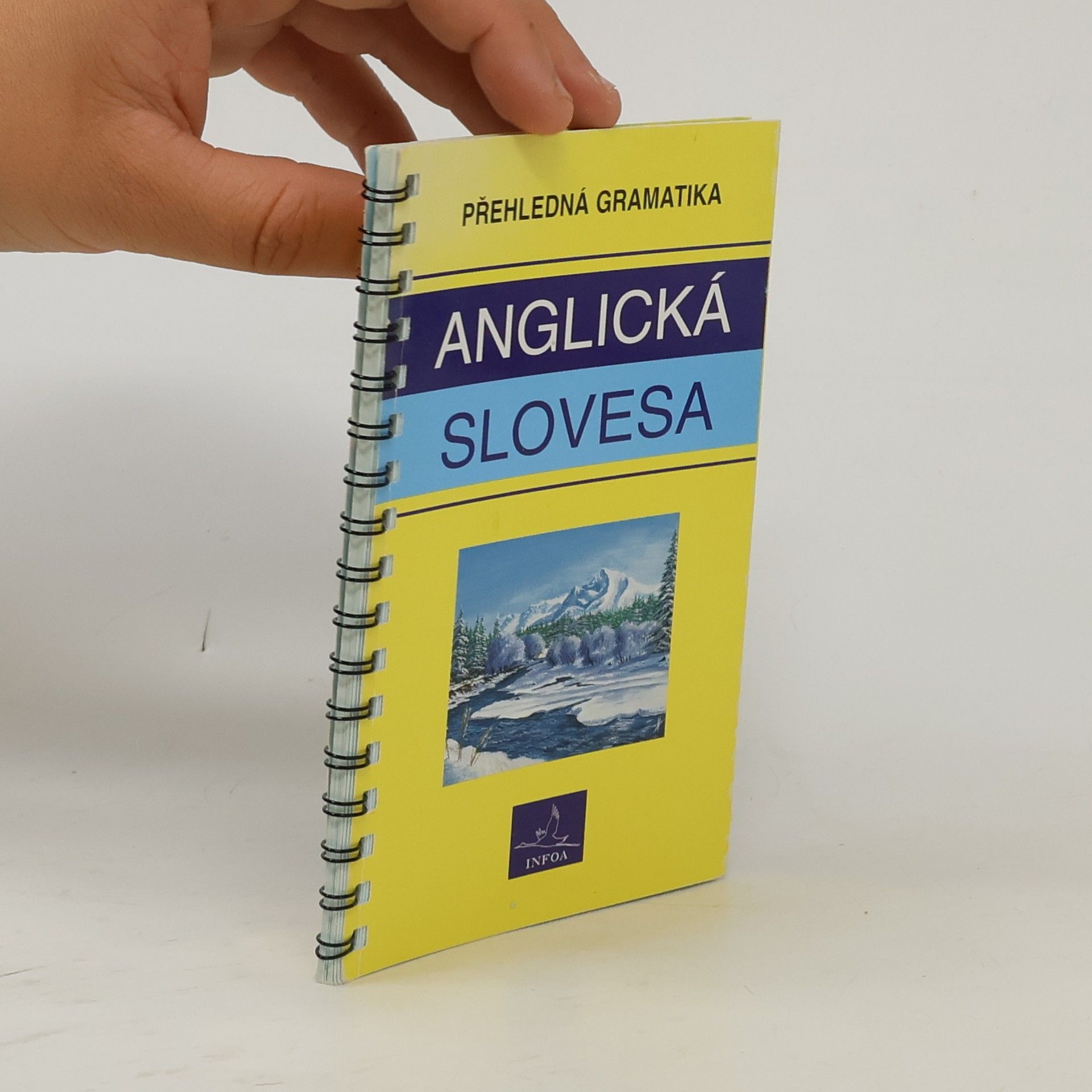 Autorenkollektiv Anglická slovesa : přehledná gramatika
