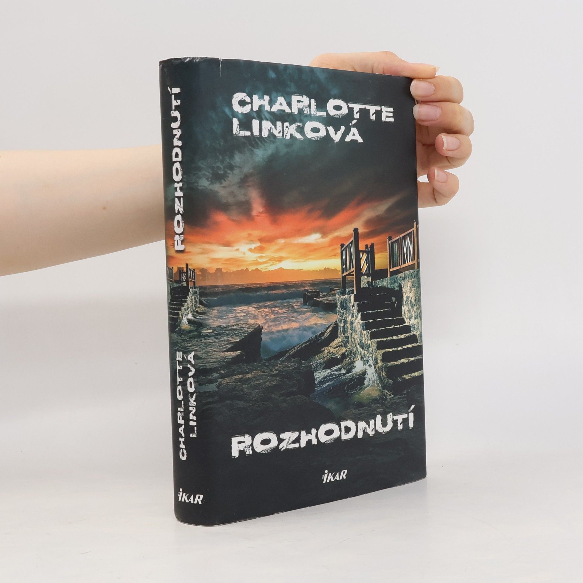 Charlotte Link Rozhodnutí