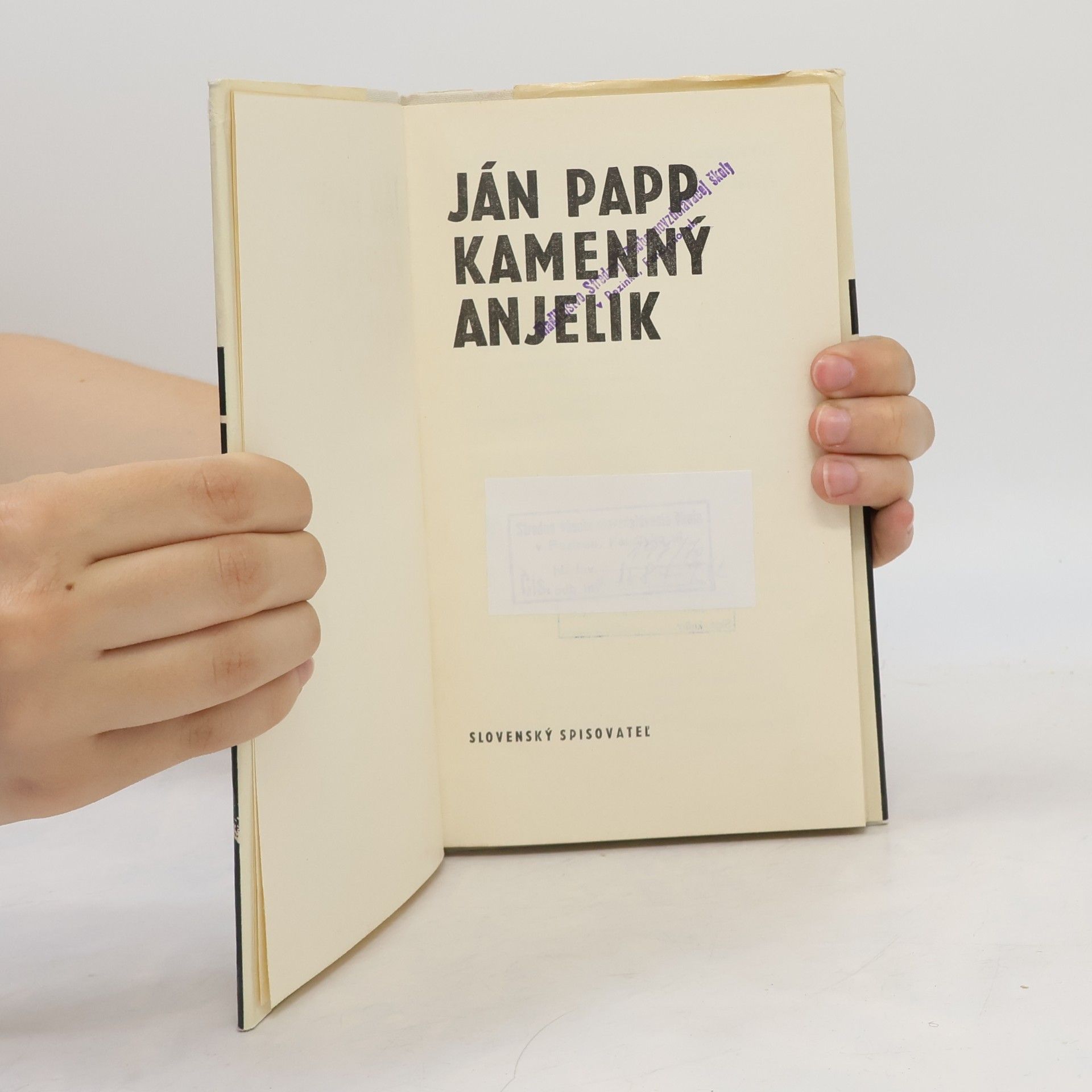 Ján Papp Kamenný anjelik