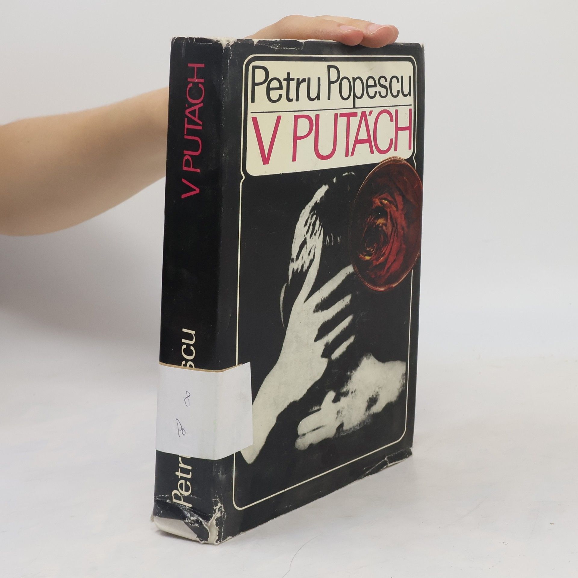 Petru Popescu V putách