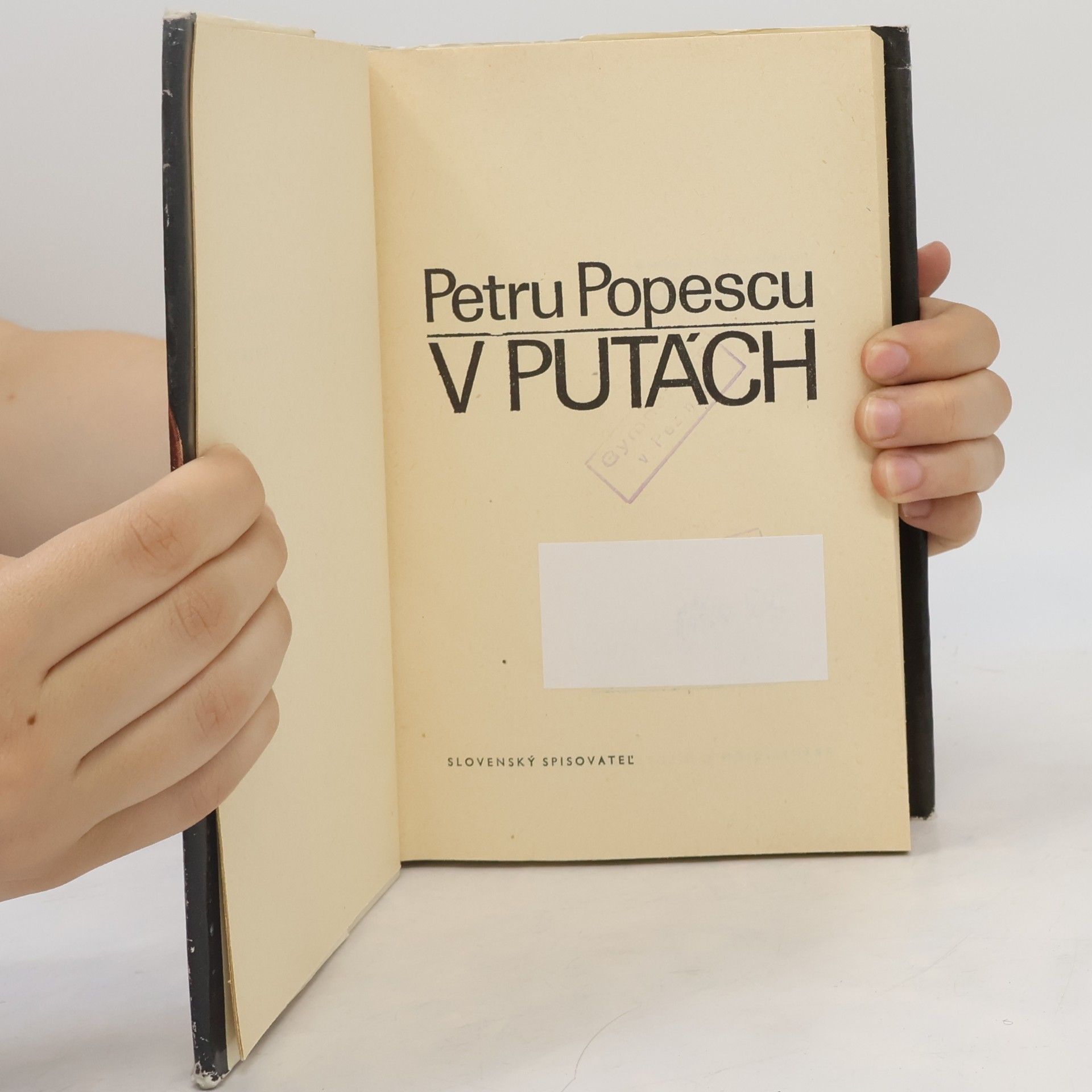 Petru Popescu V putách