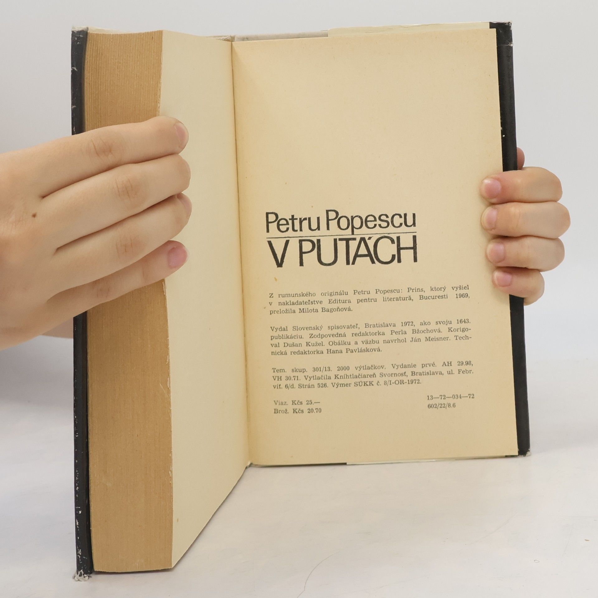 Petru Popescu V putách