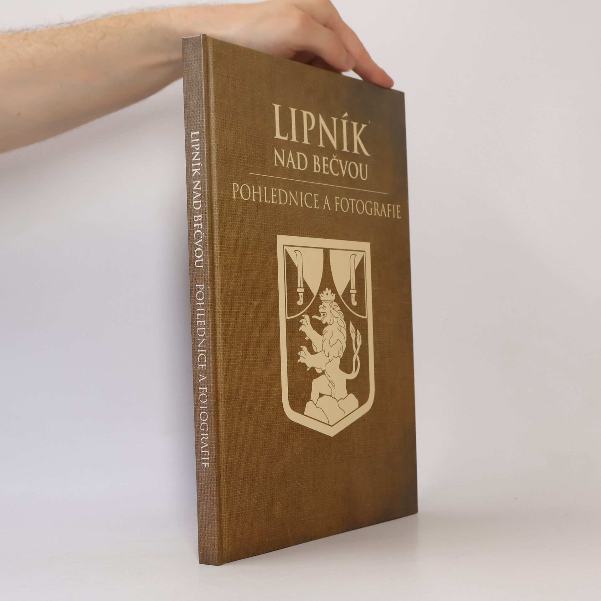 Various authors Lipník nad Bečvou - Pohlednice a fotografie