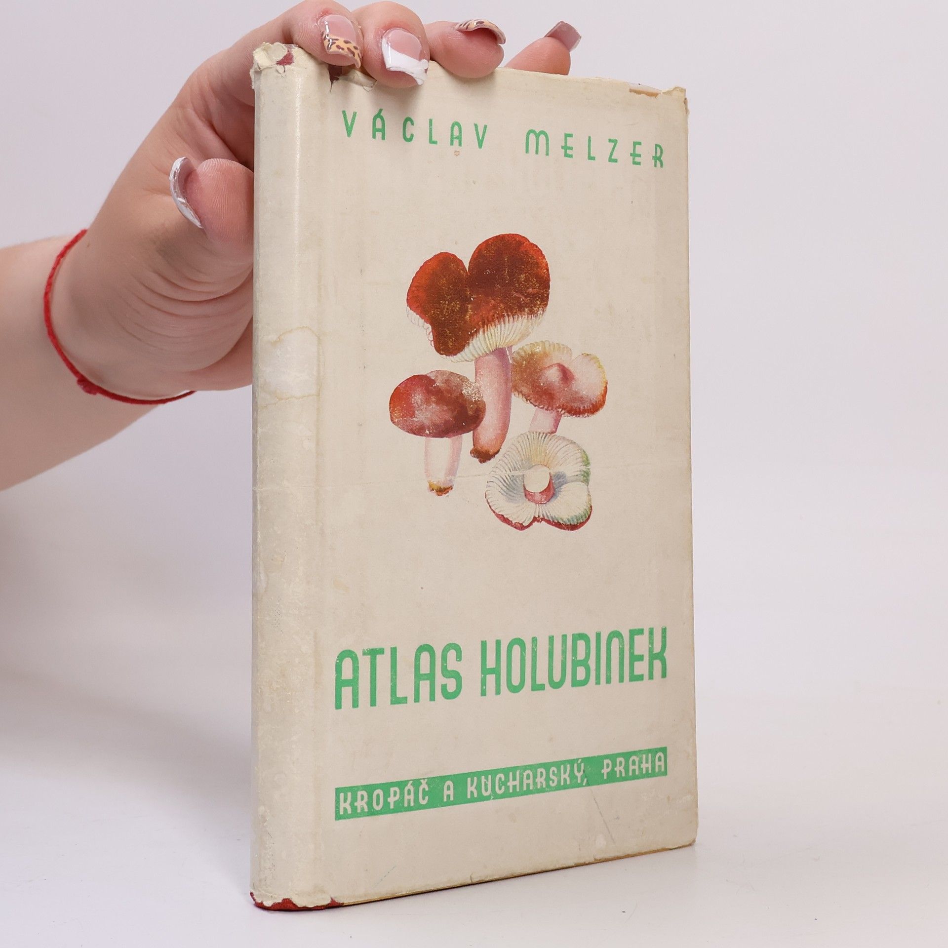 Václav Melzer Atlas holubinek