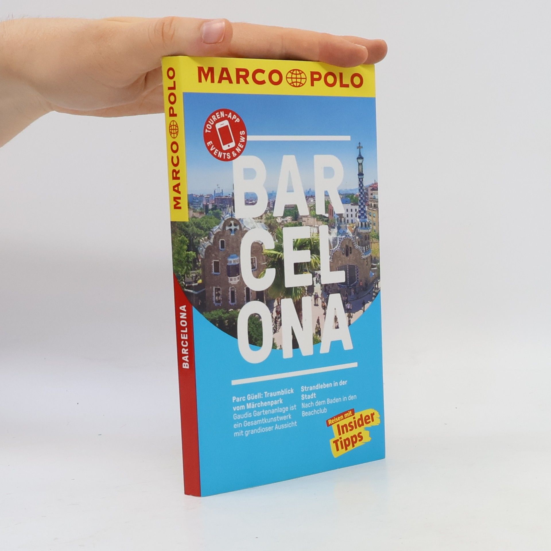 Dorothea Massmann Barcelona