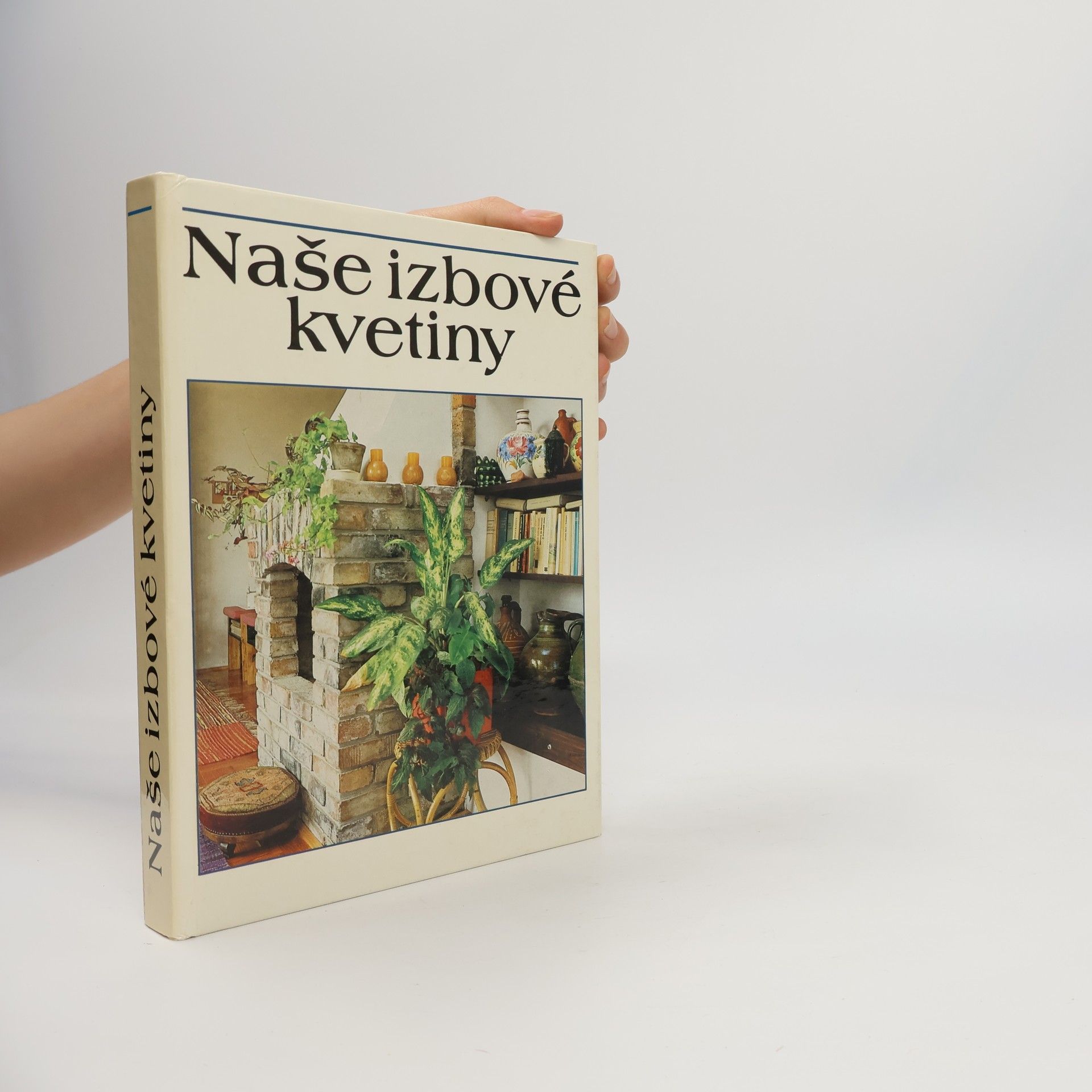 Lajos Lelkes Naše izbové kvetiny