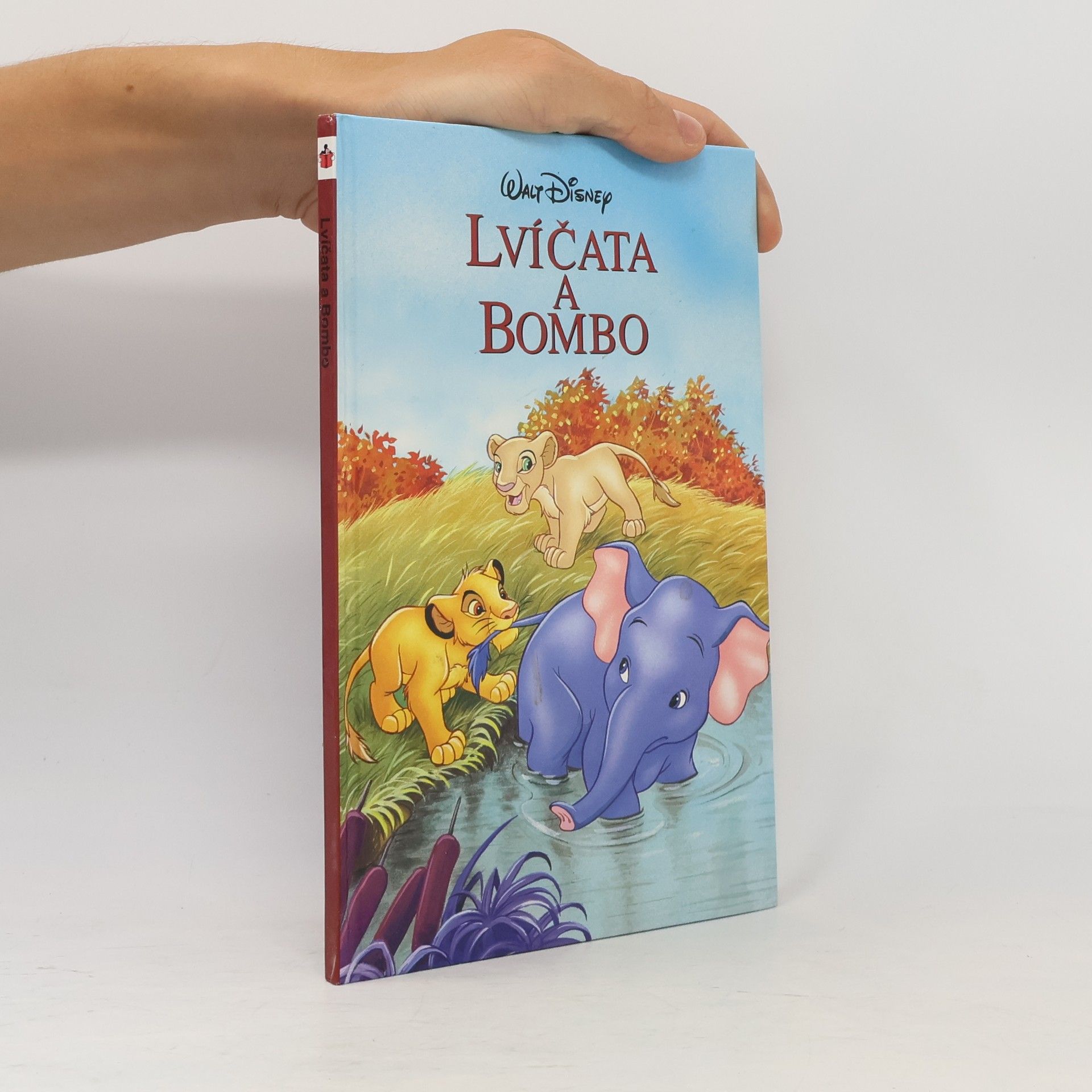 Markéta Černá Lvíčata a Bombo