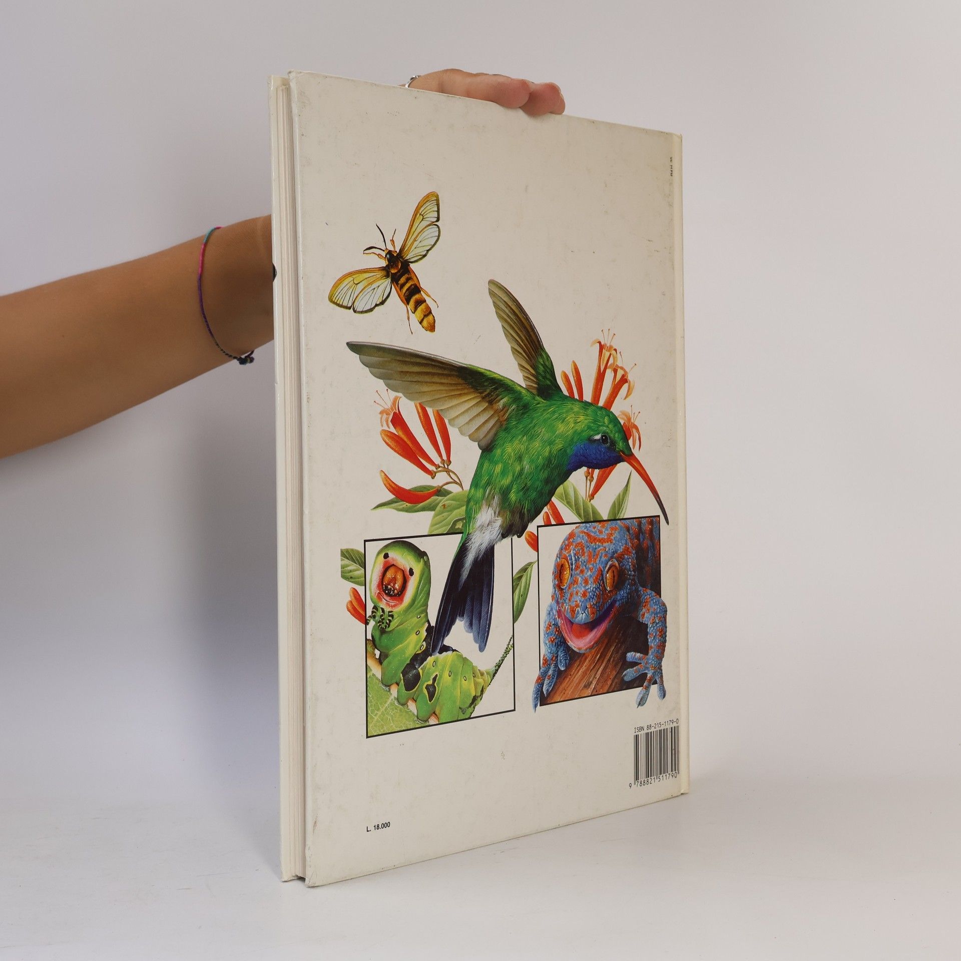 I primi libri - 2: Meraviglie e misteri della natura