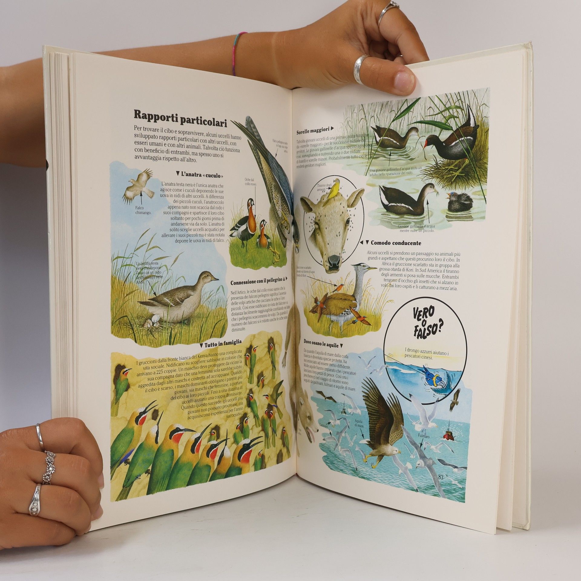I primi libri - 2: Meraviglie e misteri della natura