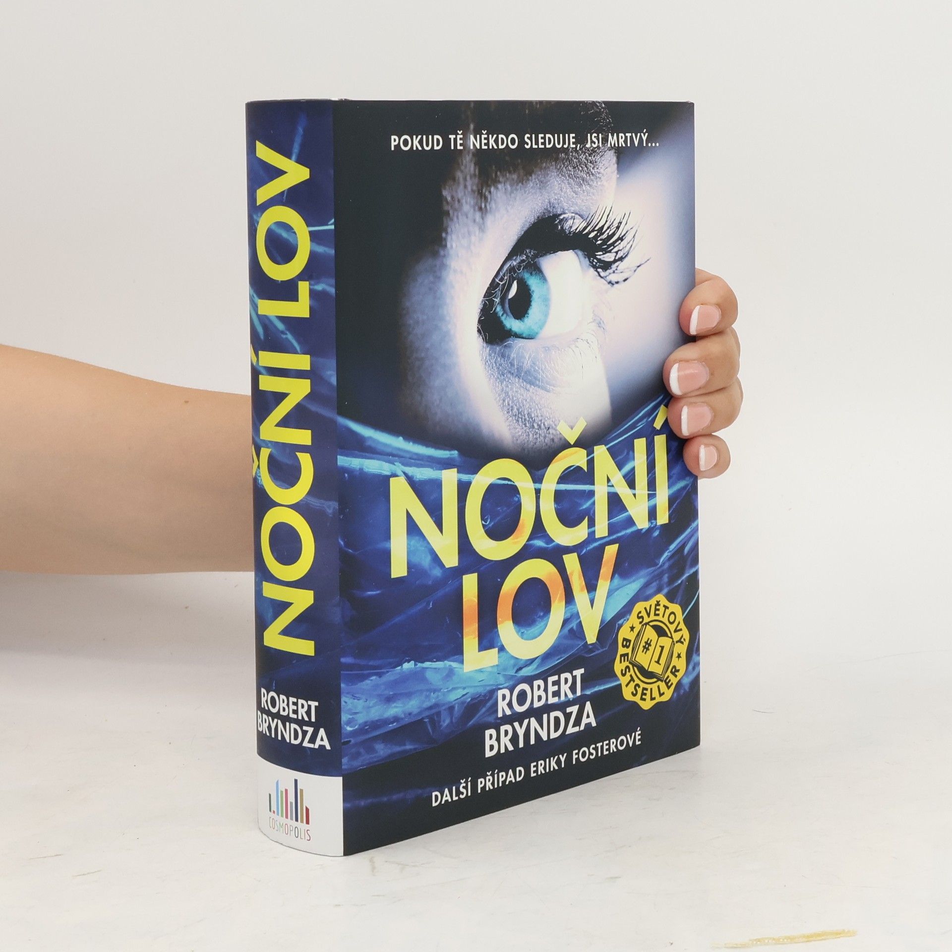 Robert Bryndza Noční lov