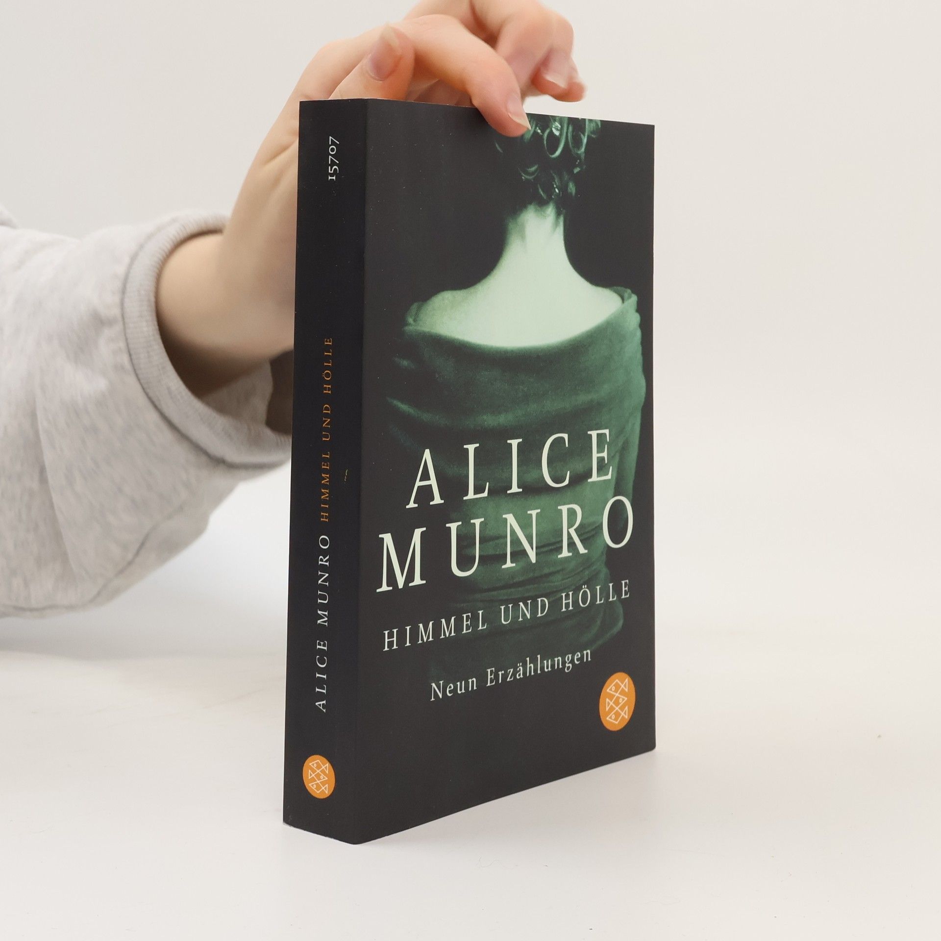 Alice Munro Himmel und Hölle