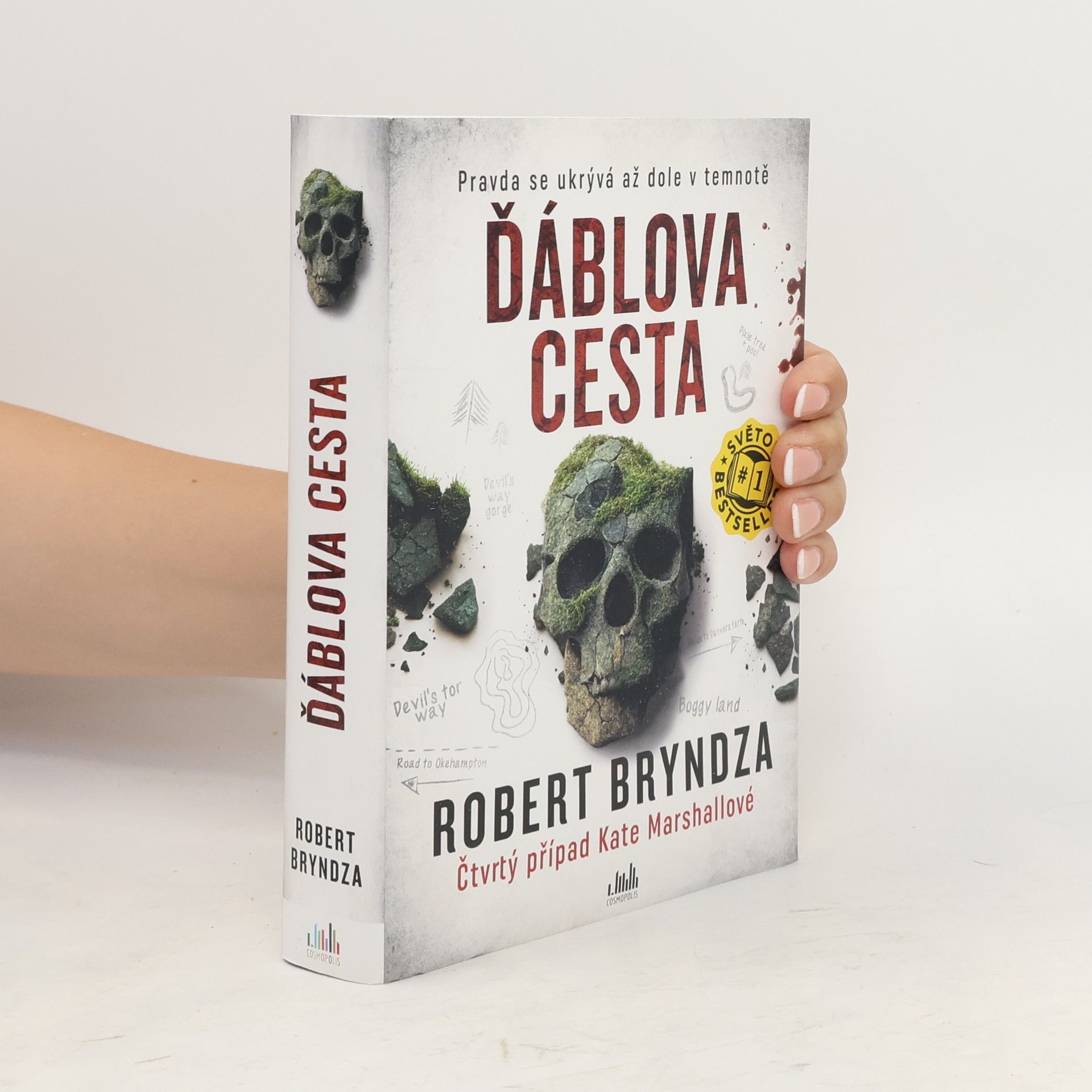 Robert Bryndza Ďáblova cesta