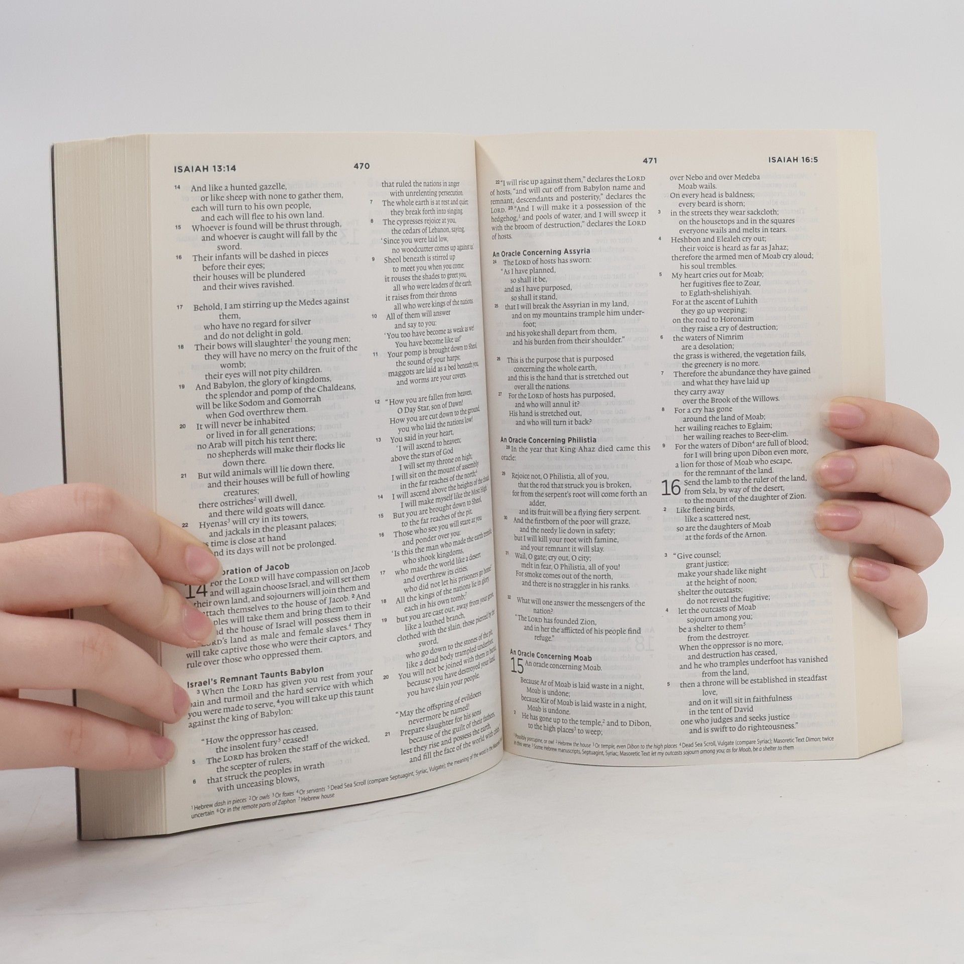 Anonymous The Story Bible, ESV