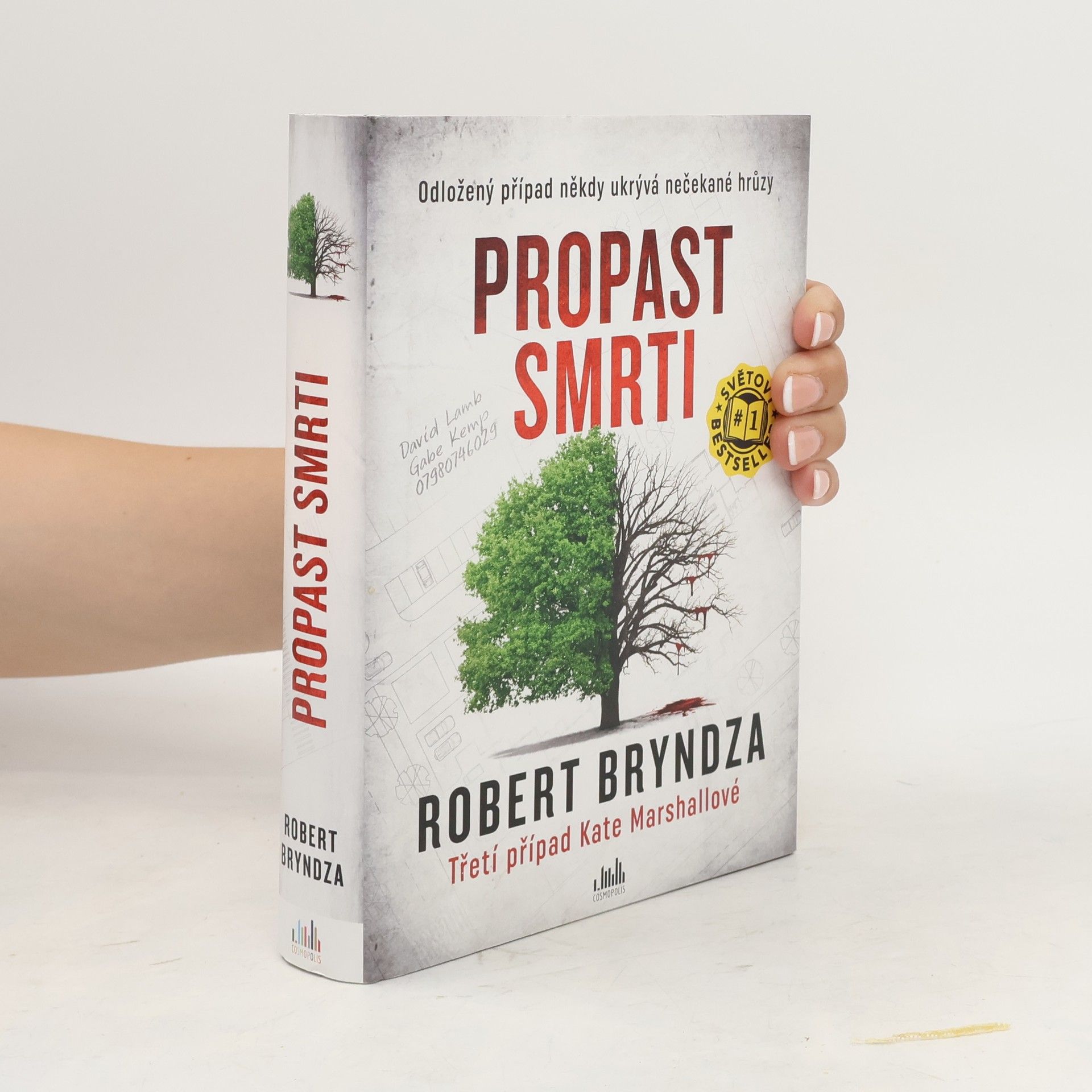 Robert Bryndza Propast smrti