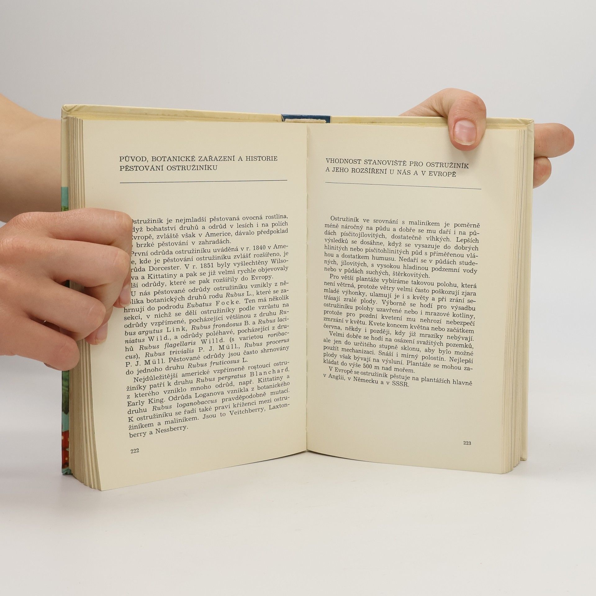 Josef Luža Malá pomologie 5. Rybíz, angrešt, maliny, ostružiny a jahody