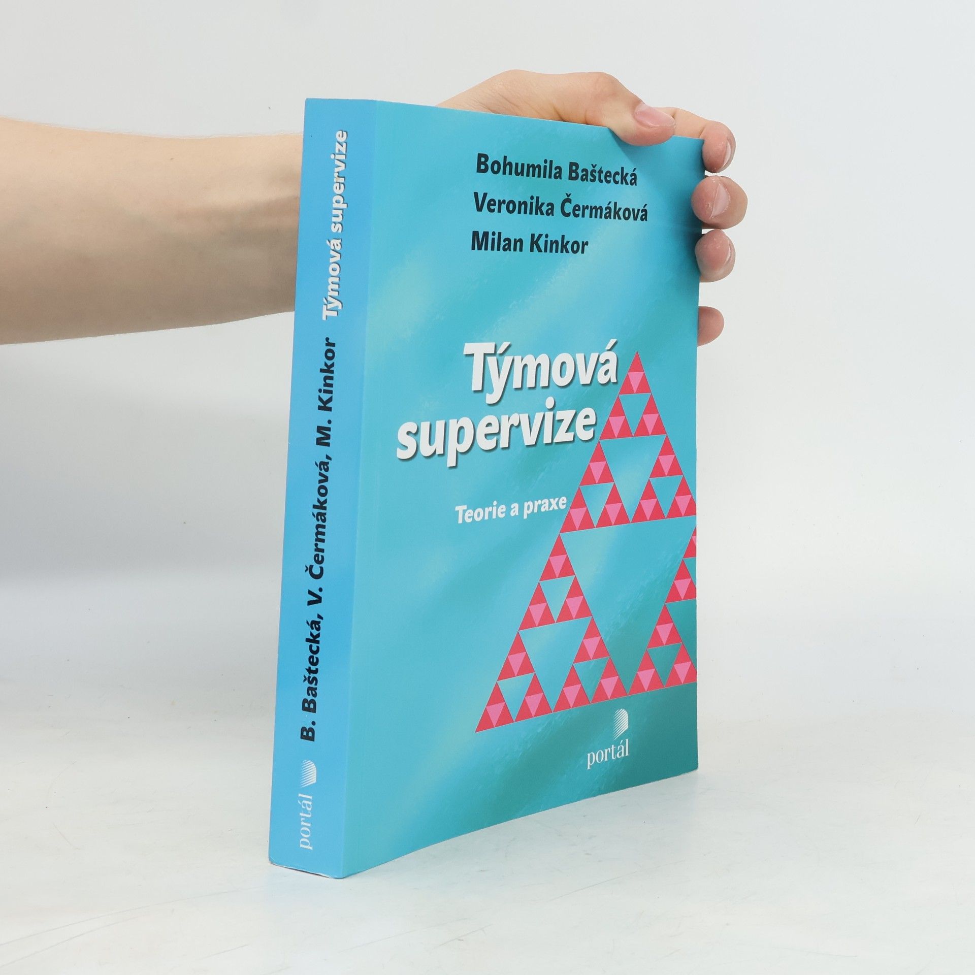 Milan Kinkor Týmová supervize