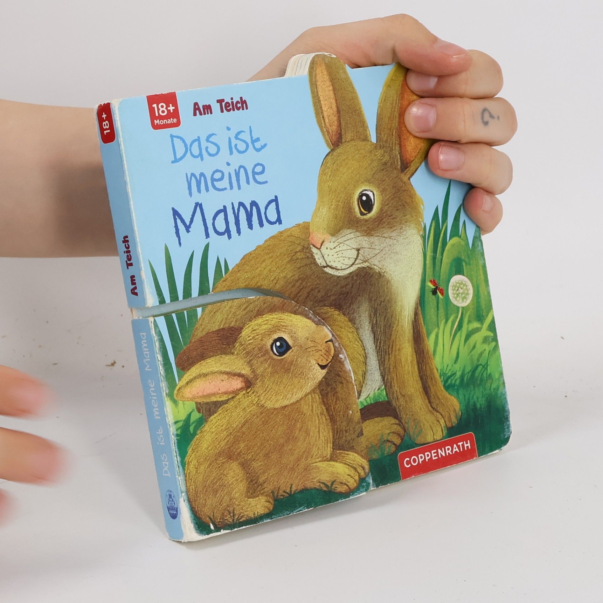 Hartmut Bieber Das ist meine Mama: Am Teich