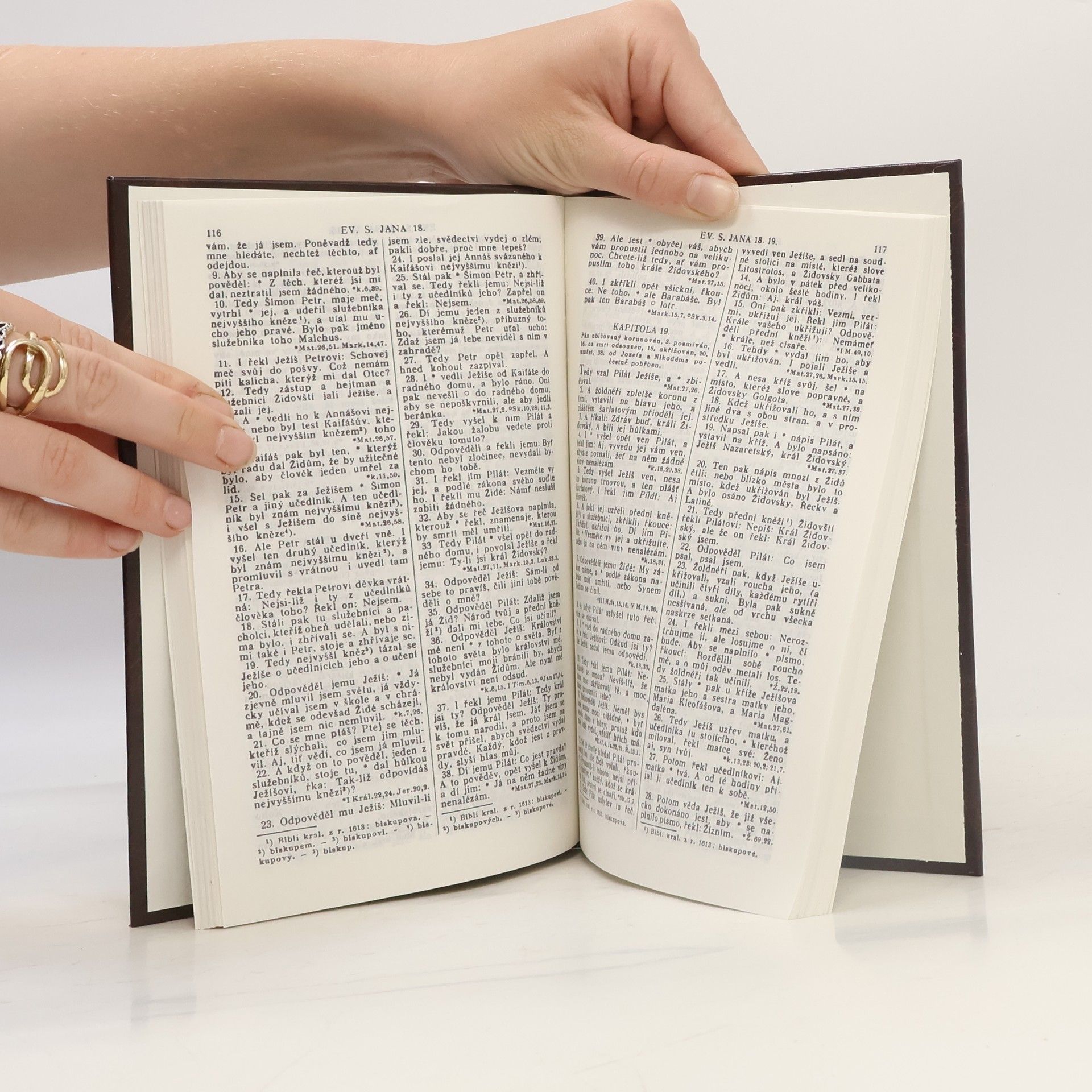 Various authors Nový zákon Pána a Spasitele našeho Ježíše Krista