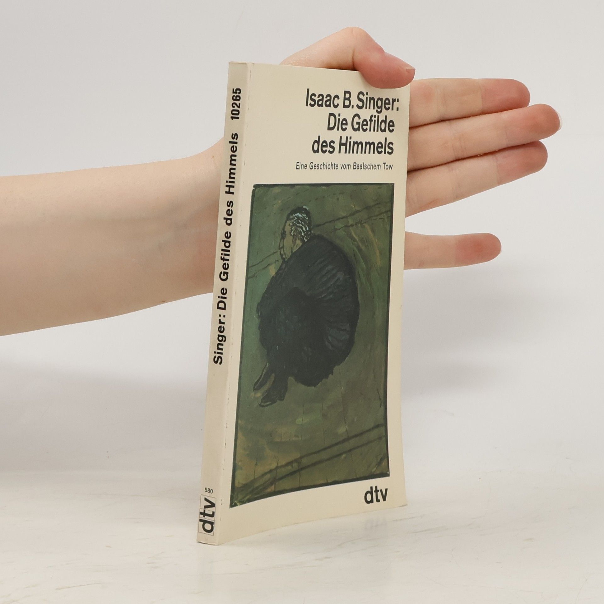 dtv Literatur: Die Gefilde des Himmels