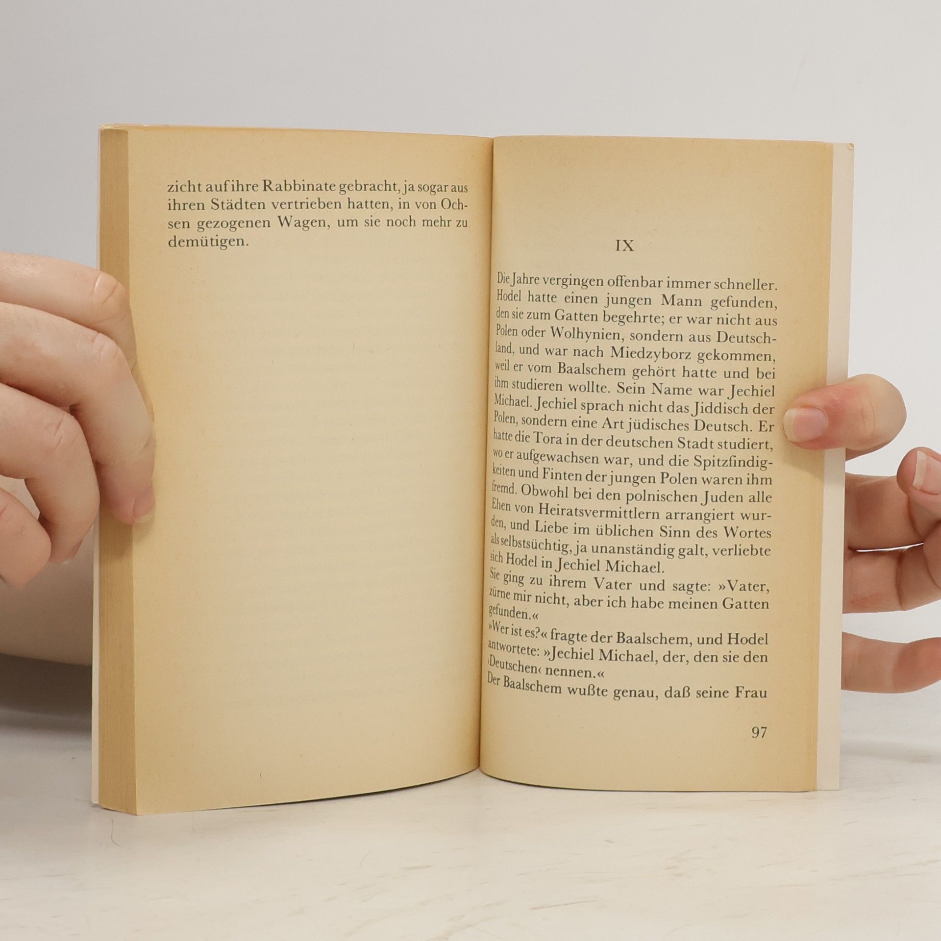 Isaac Bashevis Singer dtv Literatur: Die Gefilde des Himmels