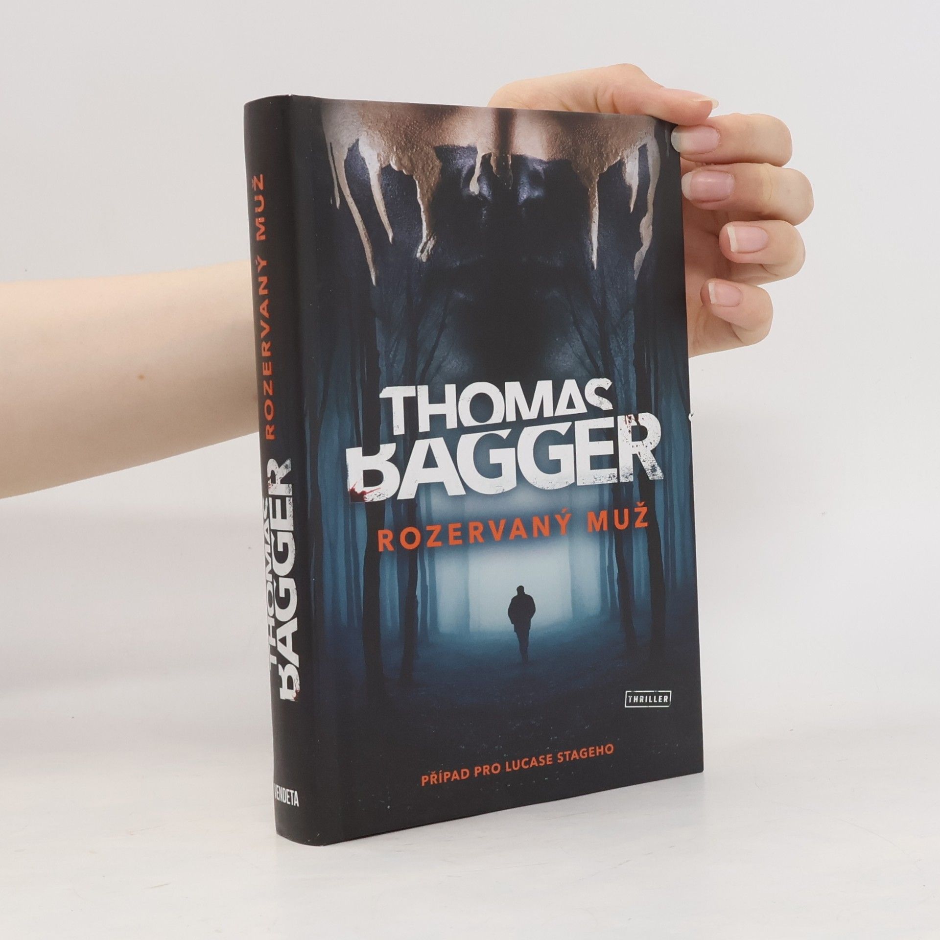 Thomas Bagger Rozervaný muž