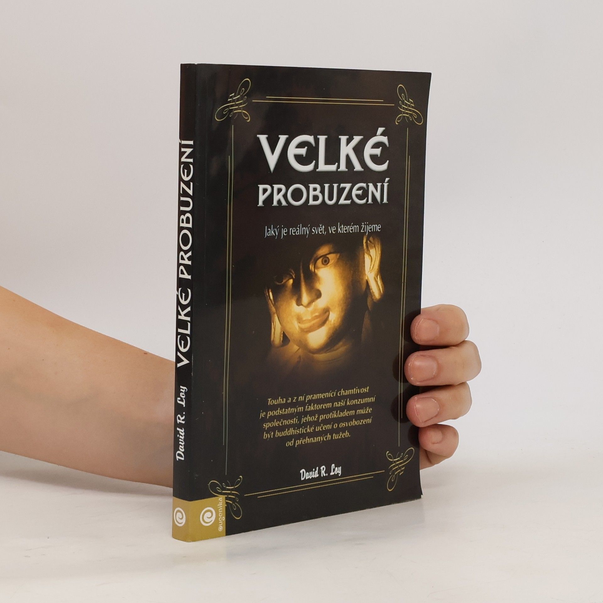 David Robert Loy Velké probuzení : jaký je reálný svět, ve kterém žijeme