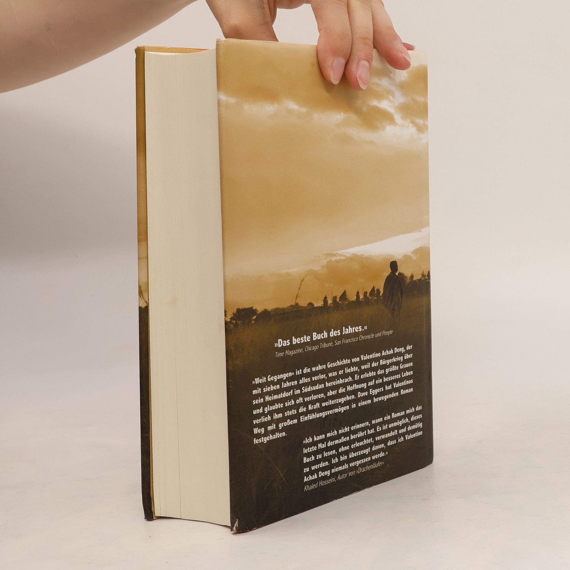 Dave Eggers Weit gegangen