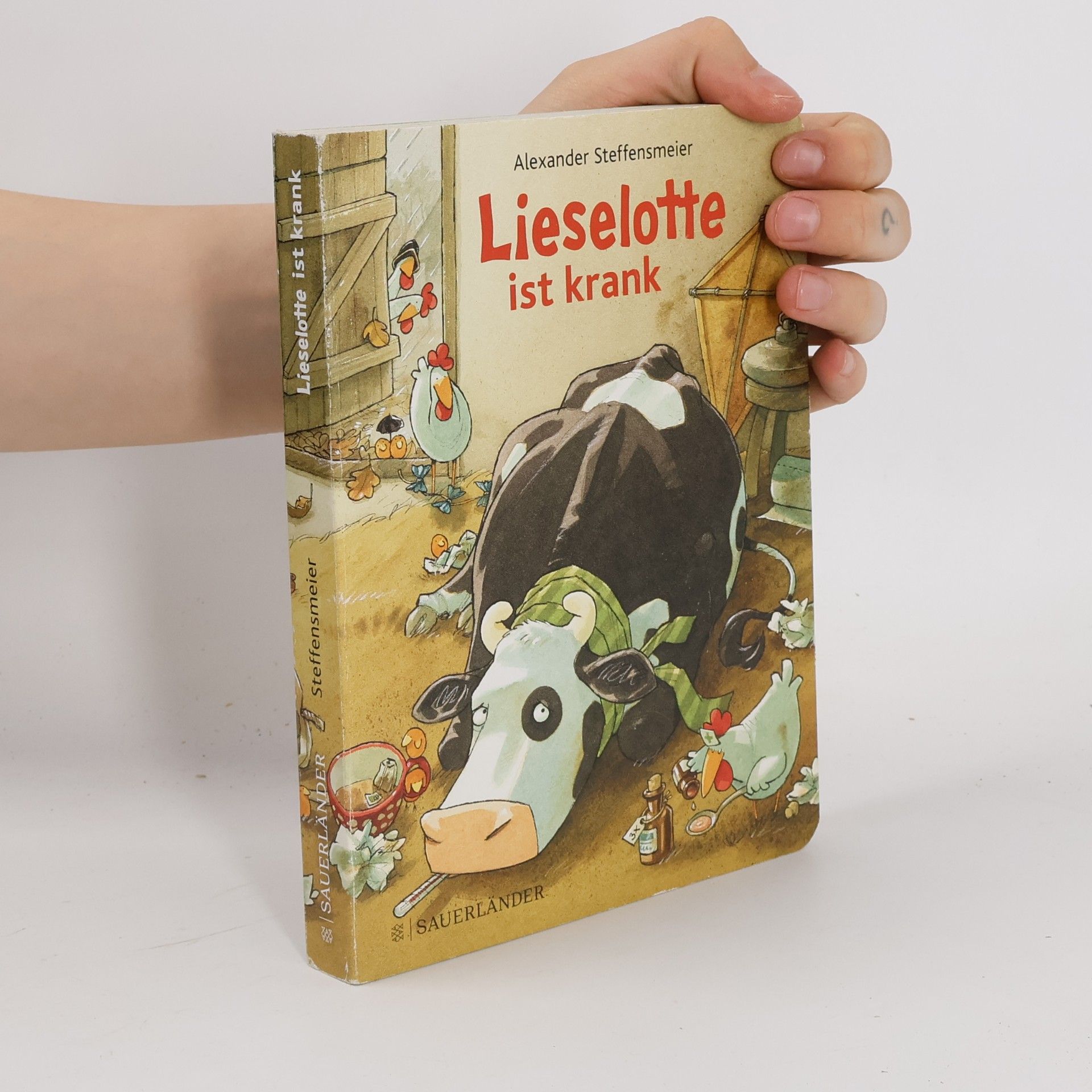 Alexander Steffensmeier Lieselotte ist krank (Pappe)