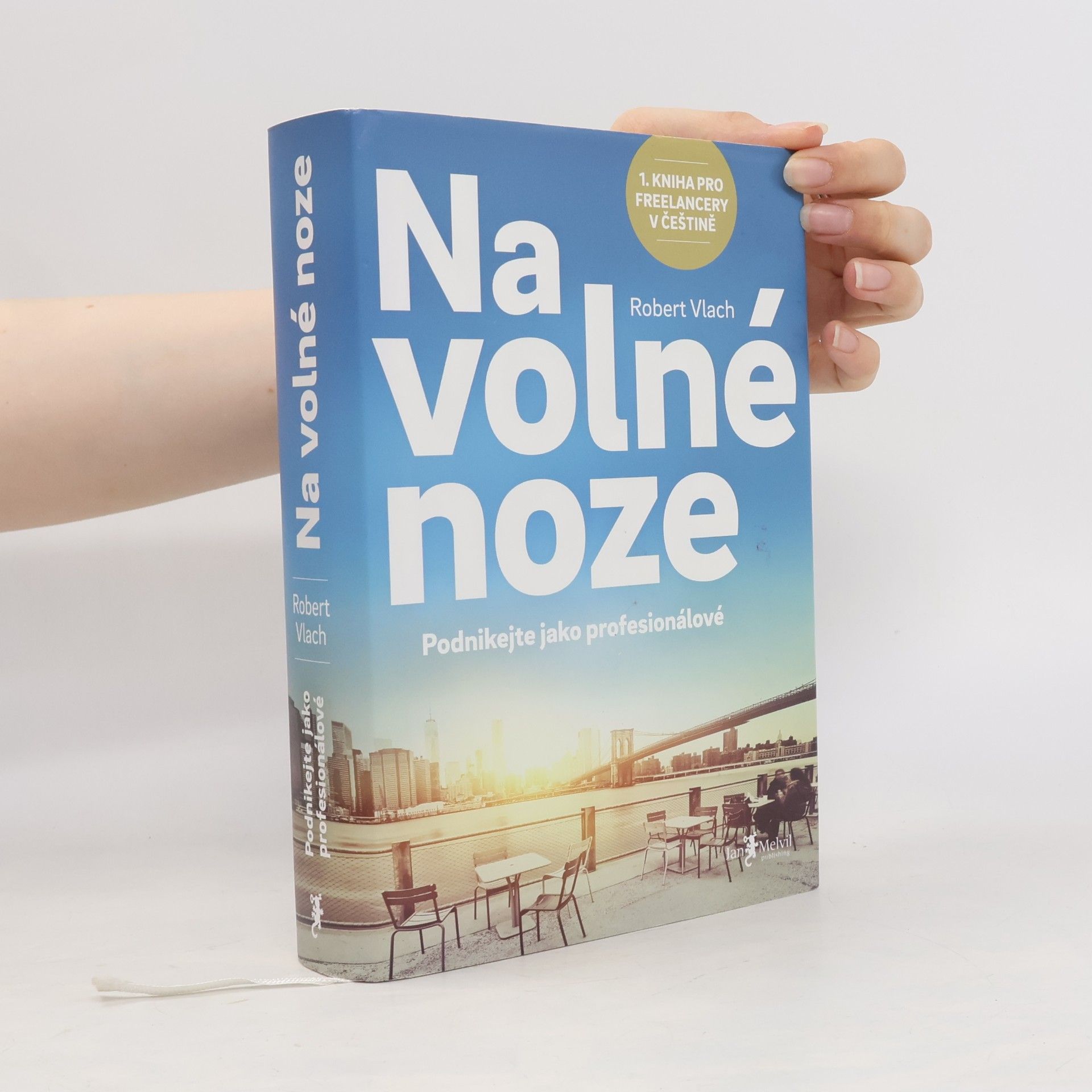 Robert Vlach (podnikatel) Na volné noze