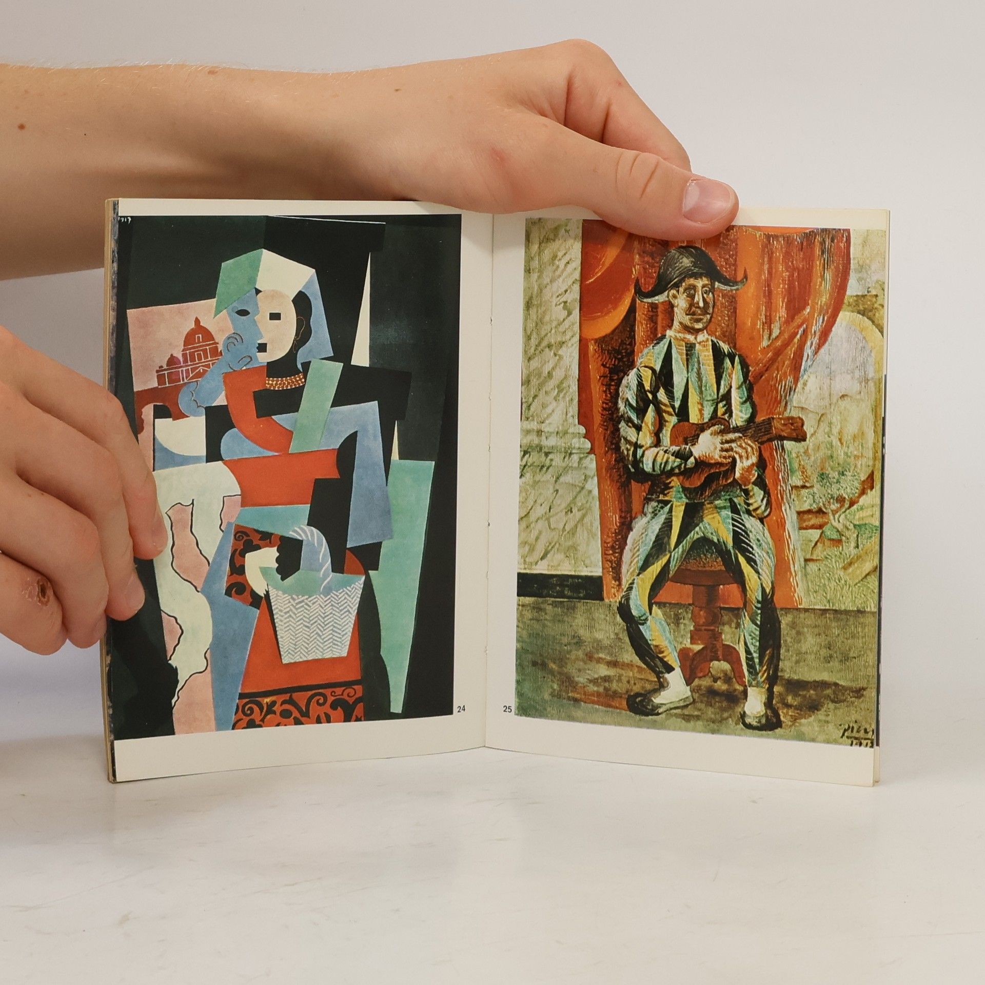 Pablo Picasso Picasso. The life and work of the artist illustrated with 80 colour plates