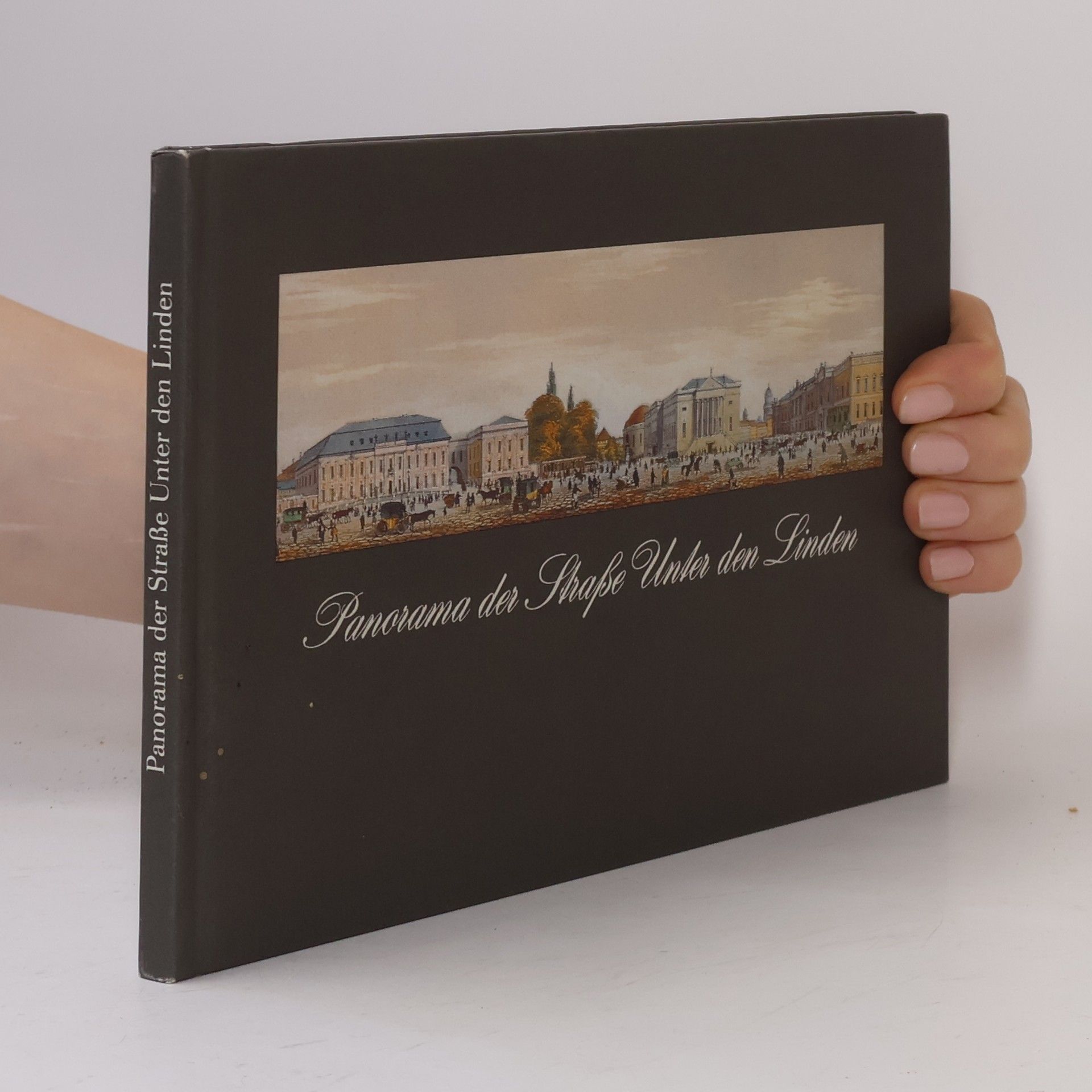 Winfried Löschburg Panorama der Straße Unter den Linden
