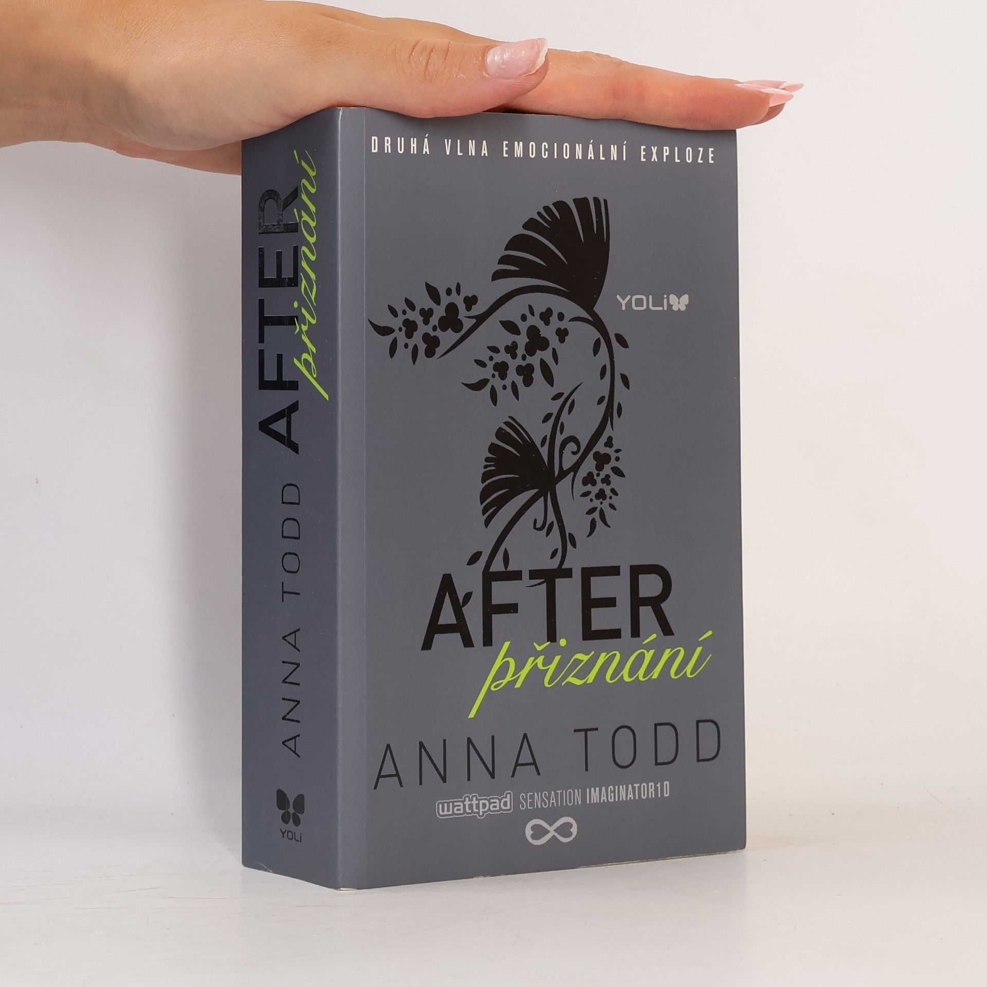 Anna Todd After. Přiznání