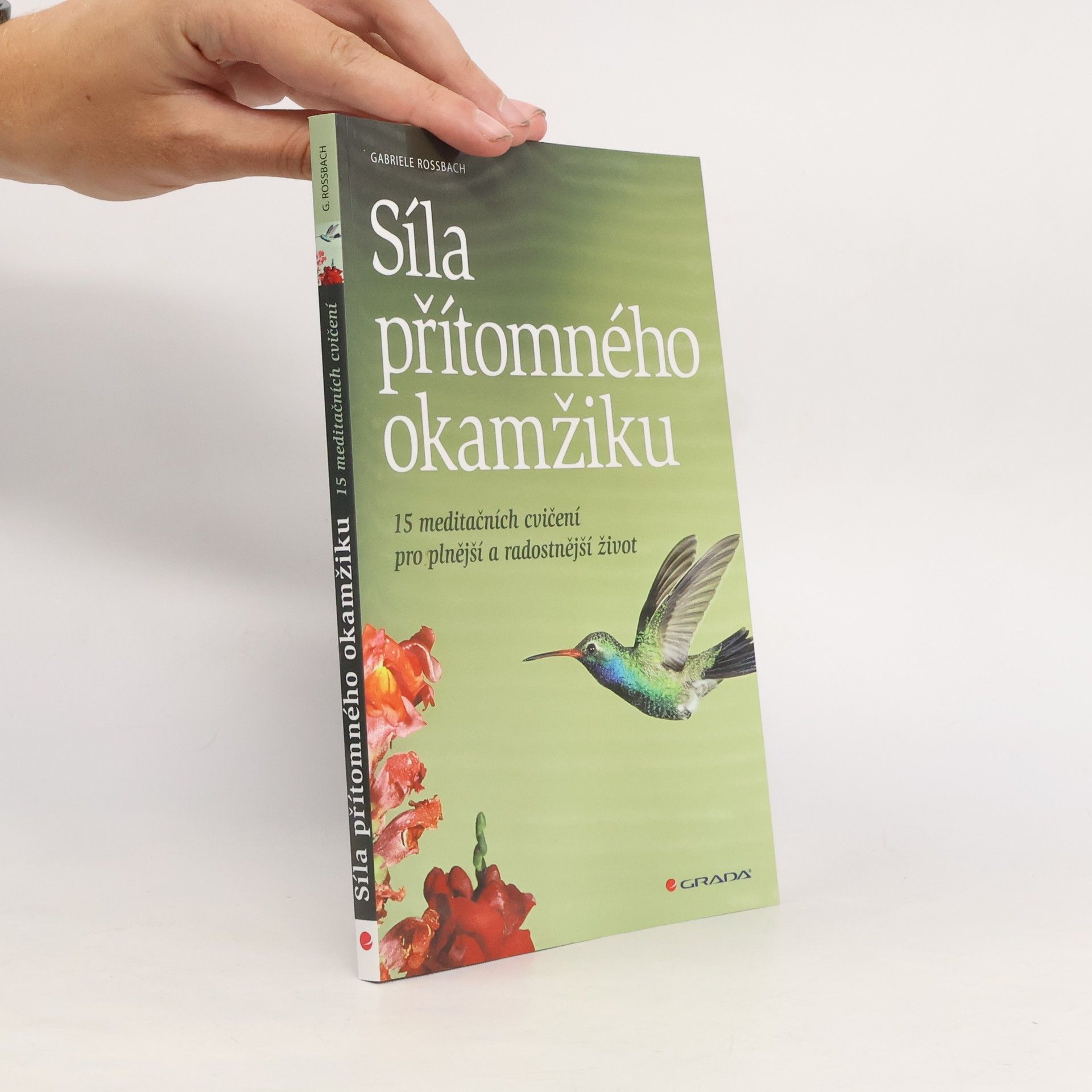 Gaby Rossbach Síla přítomného okamžiku
