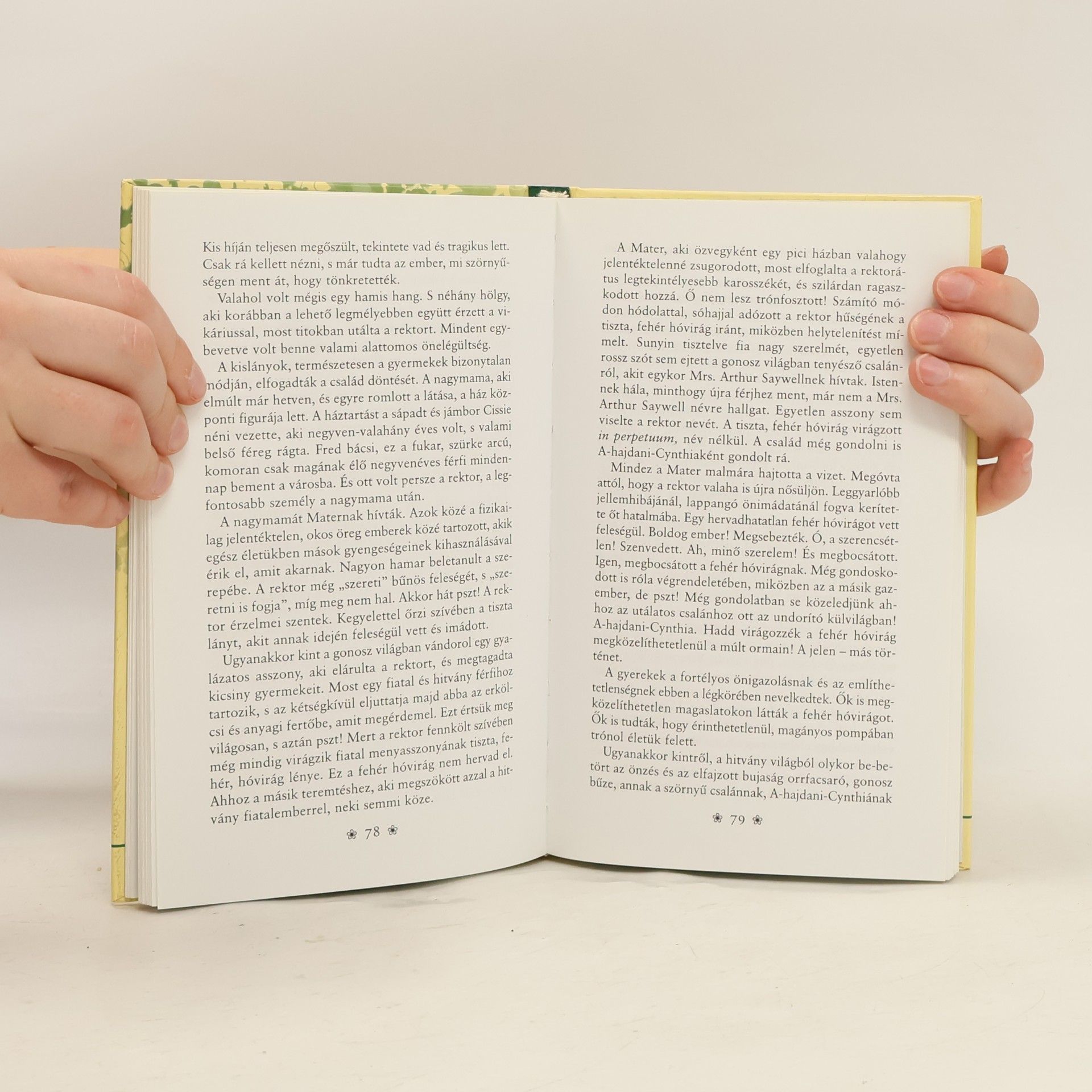 D. H. Lawrence A tiszteletes úr leányai