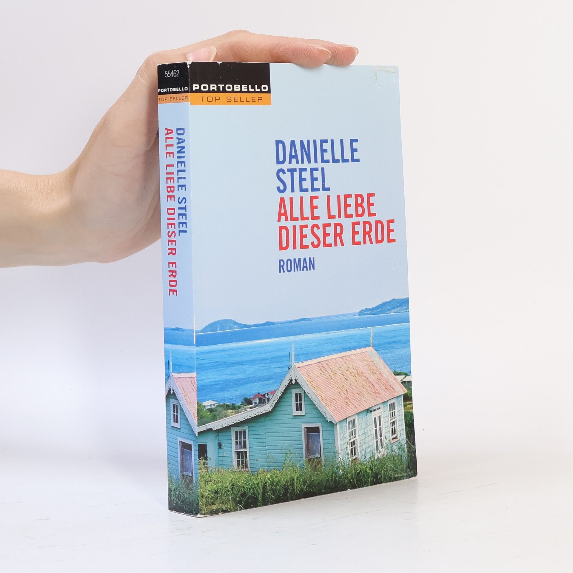 Danielle Steel Alle Liebe dieser Erde