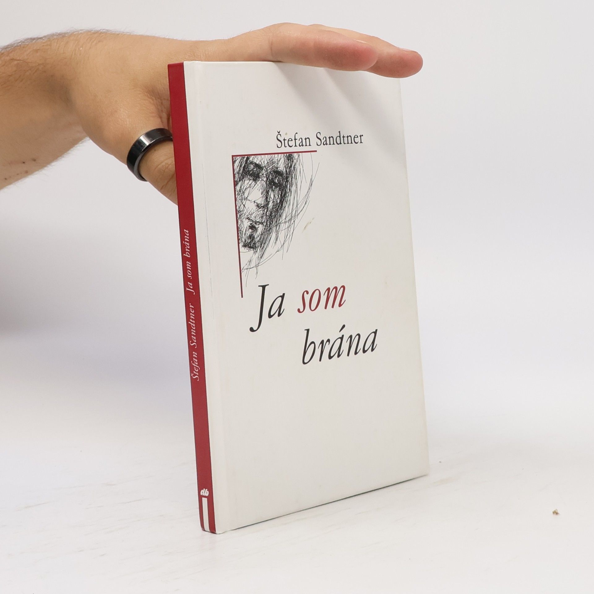 Štefan Sandtner Ja som brána