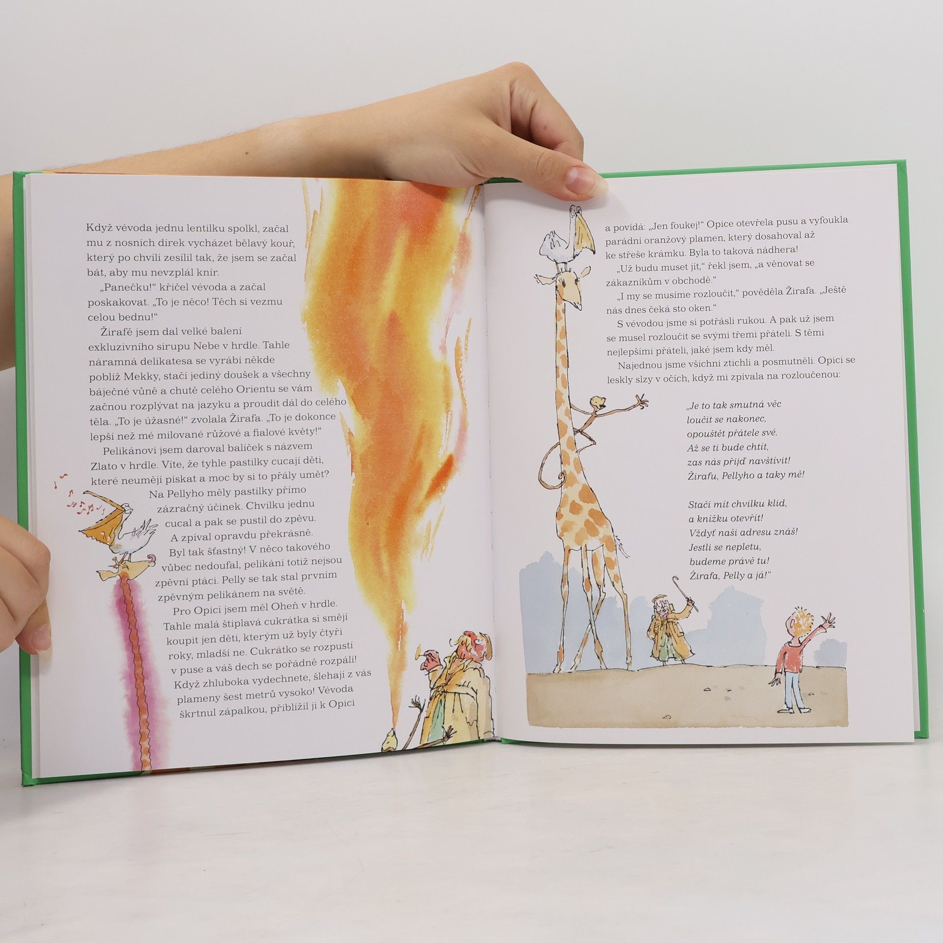 Roald Dahl Žirafa, pelikán a já