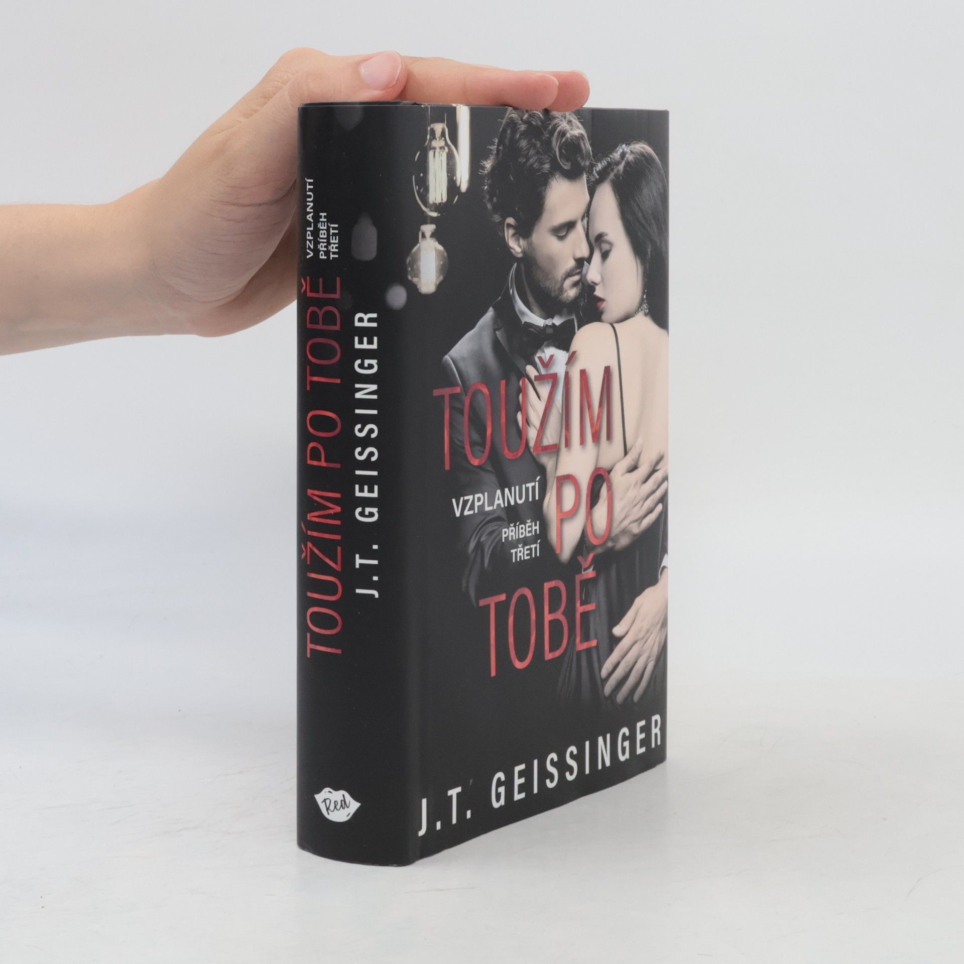 J. T. Geissinger Toužím po tobě