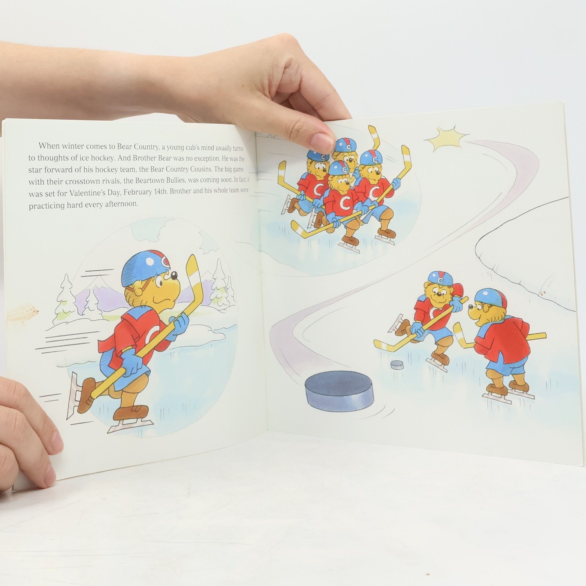 Mike Berenstain The Berenstain Bears' Valentine Blessings