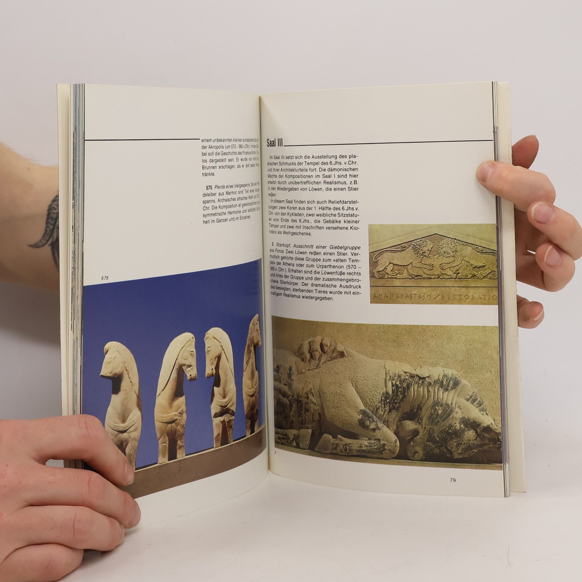 Kolektiv autorů Die Akropolis