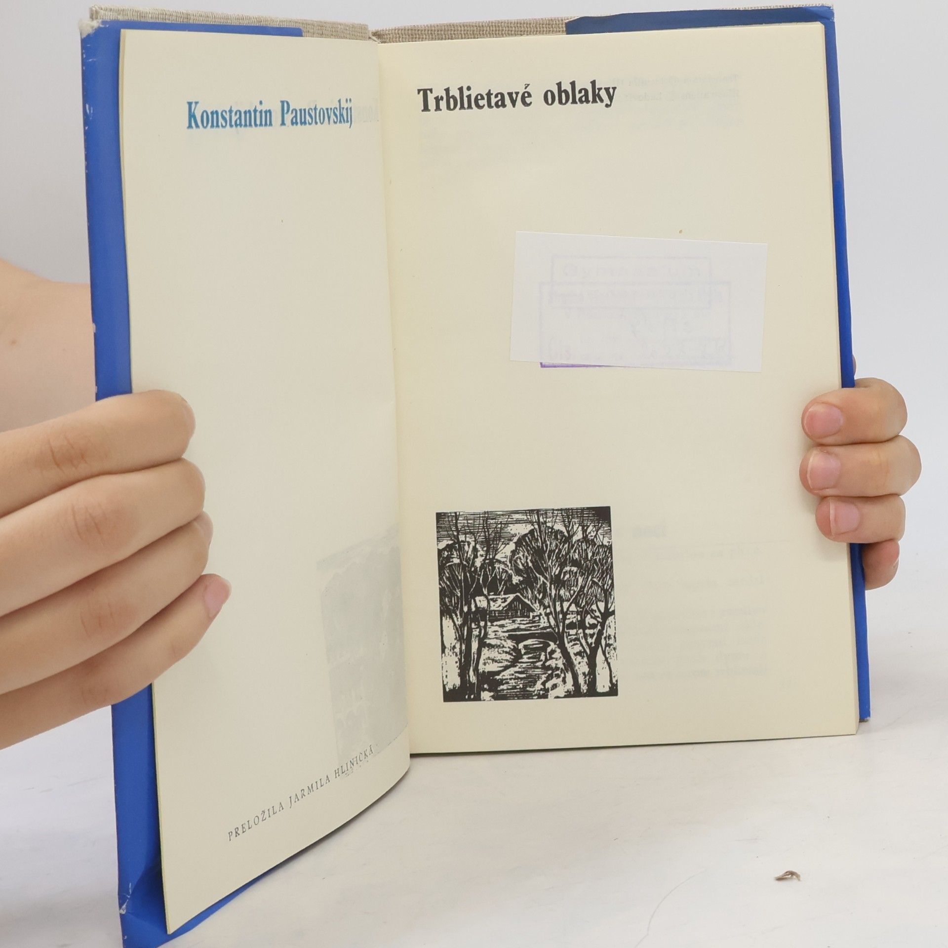 Konstantin Georgijevič Paustovskij Trblietavé oblaky