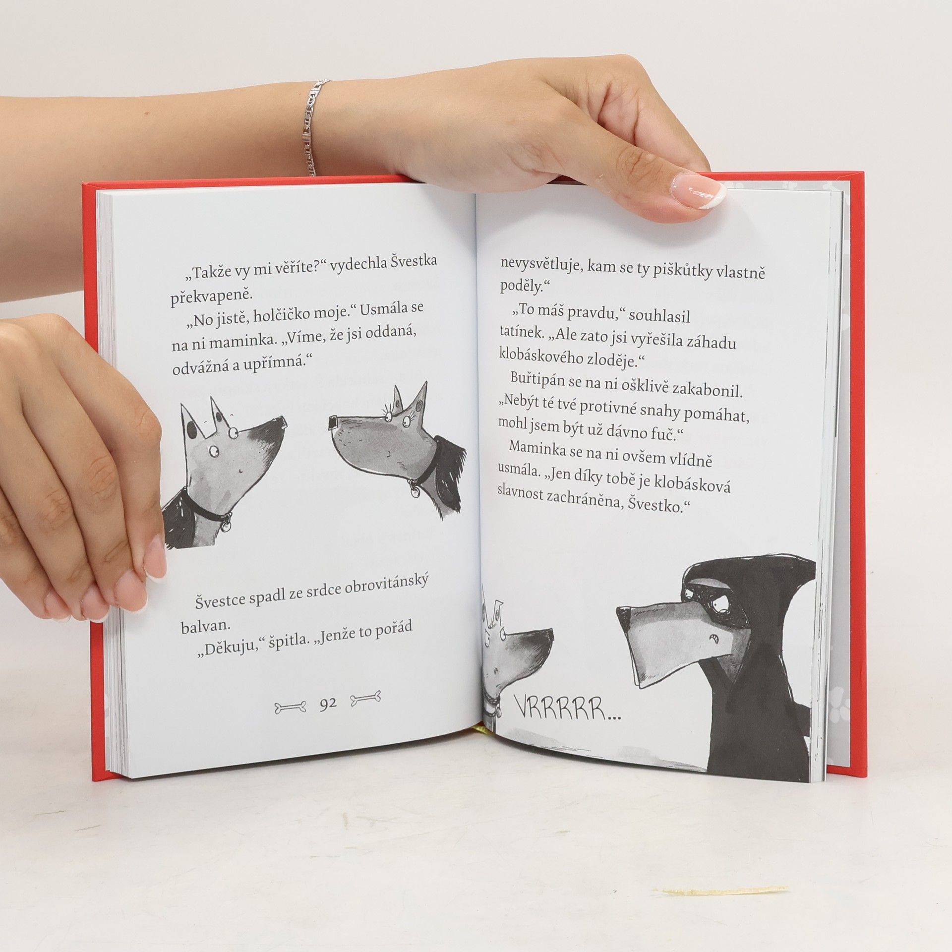 Gill Lewis Švestka a zloděj klobásek