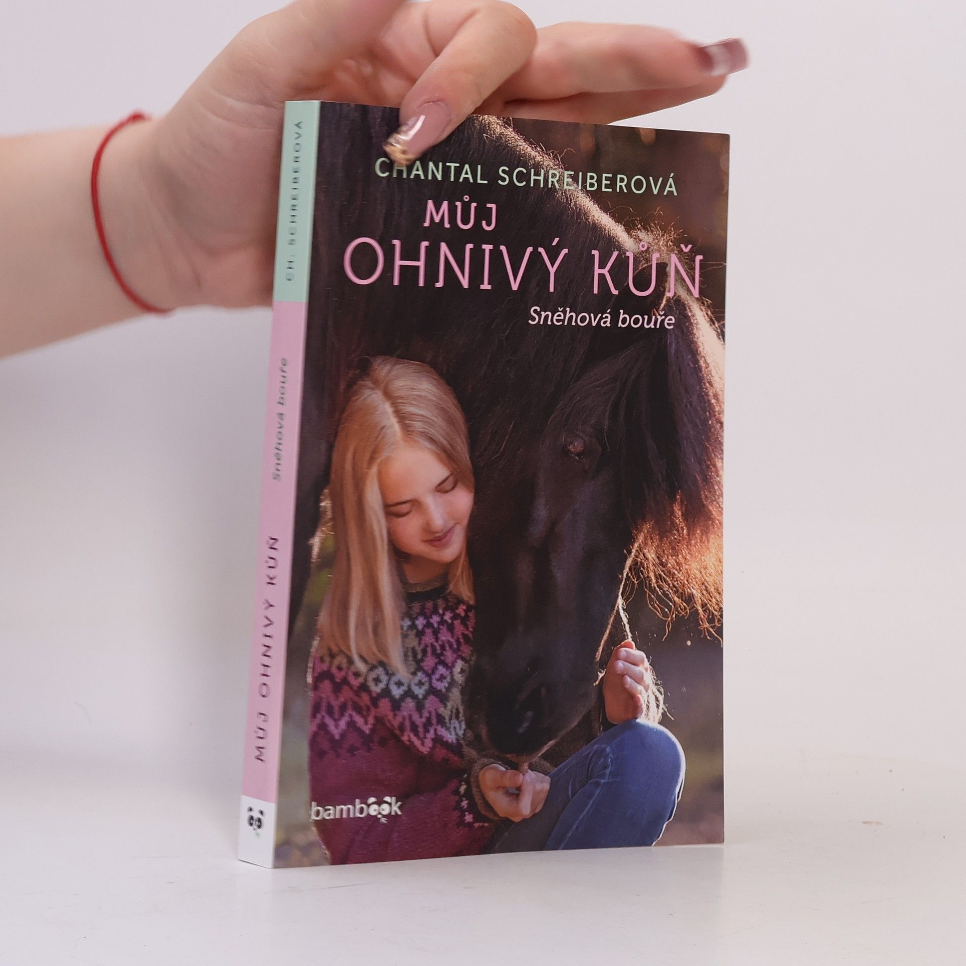 Chantal Schreiber Můj ohnivý kůň. Sněhová bouře