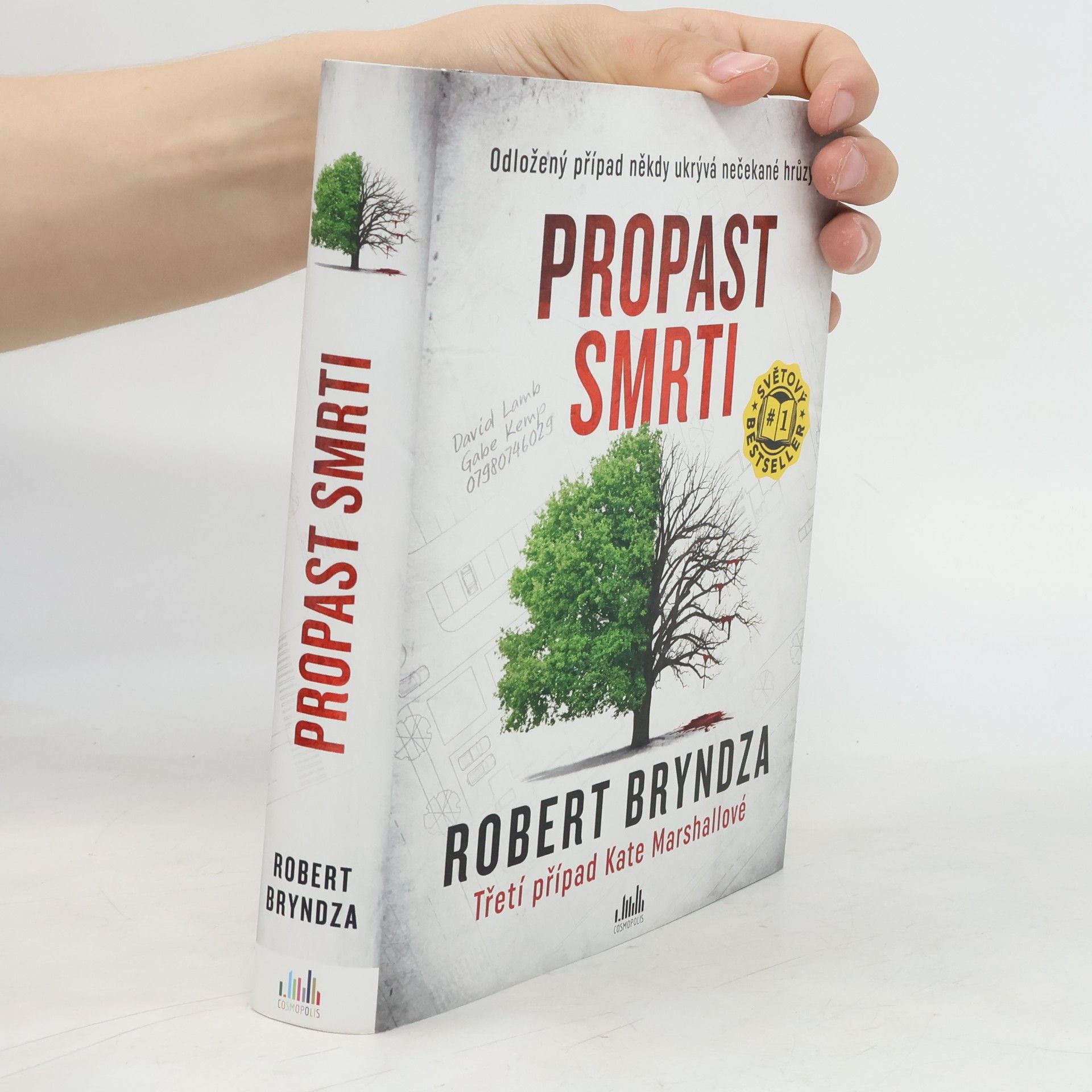 Robert Bryndza Propast smrti