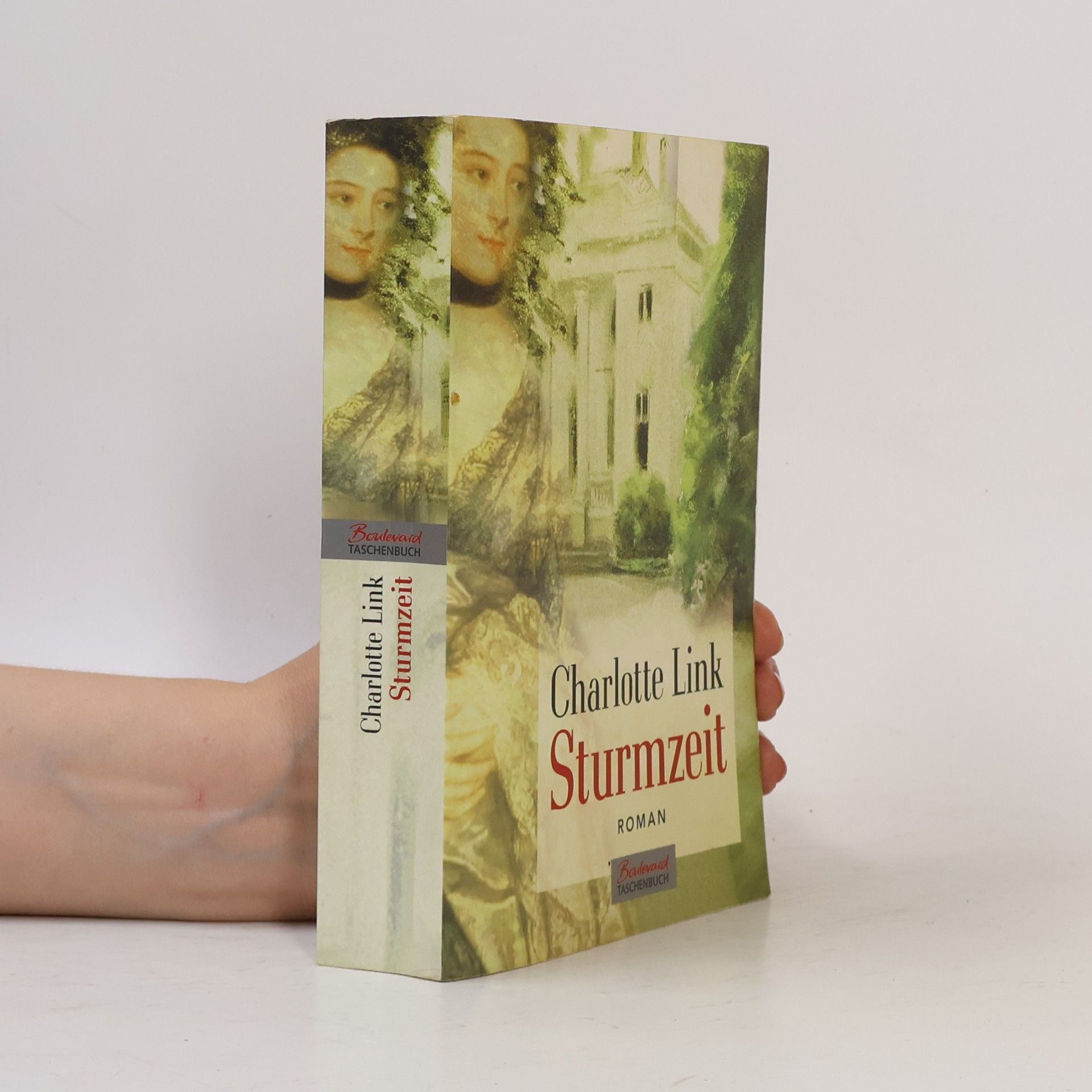 Charlotte Link Sturmzeit